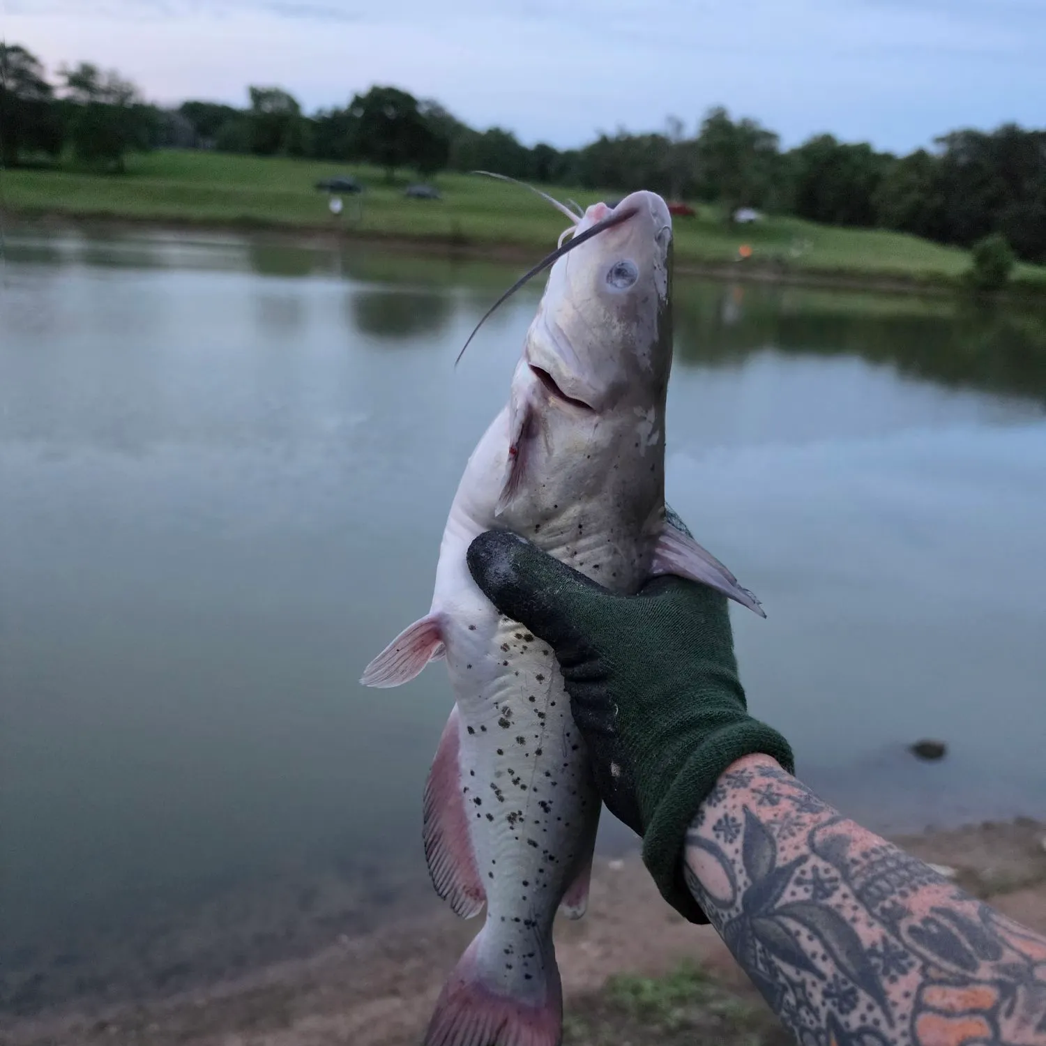 catch