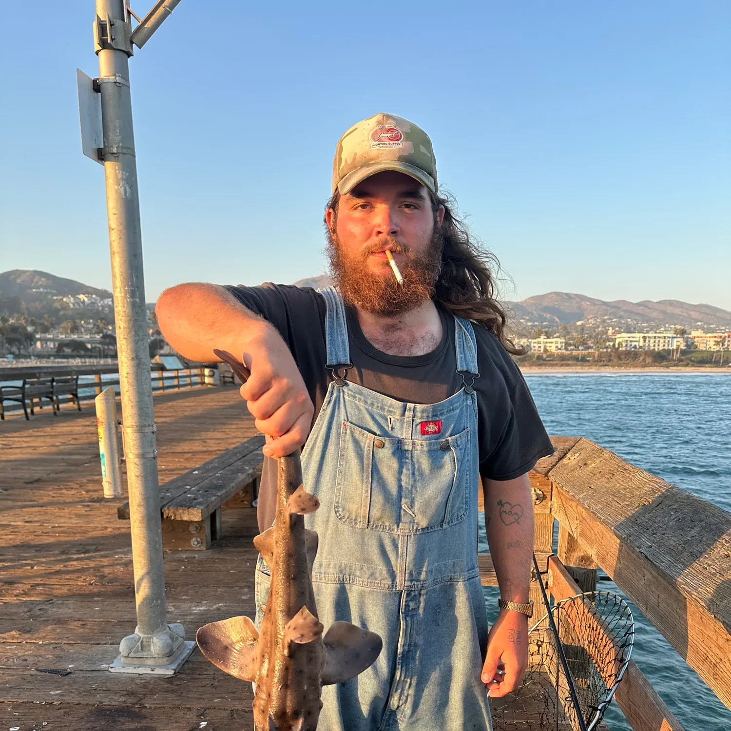 Horn shark caught on Fishbrain