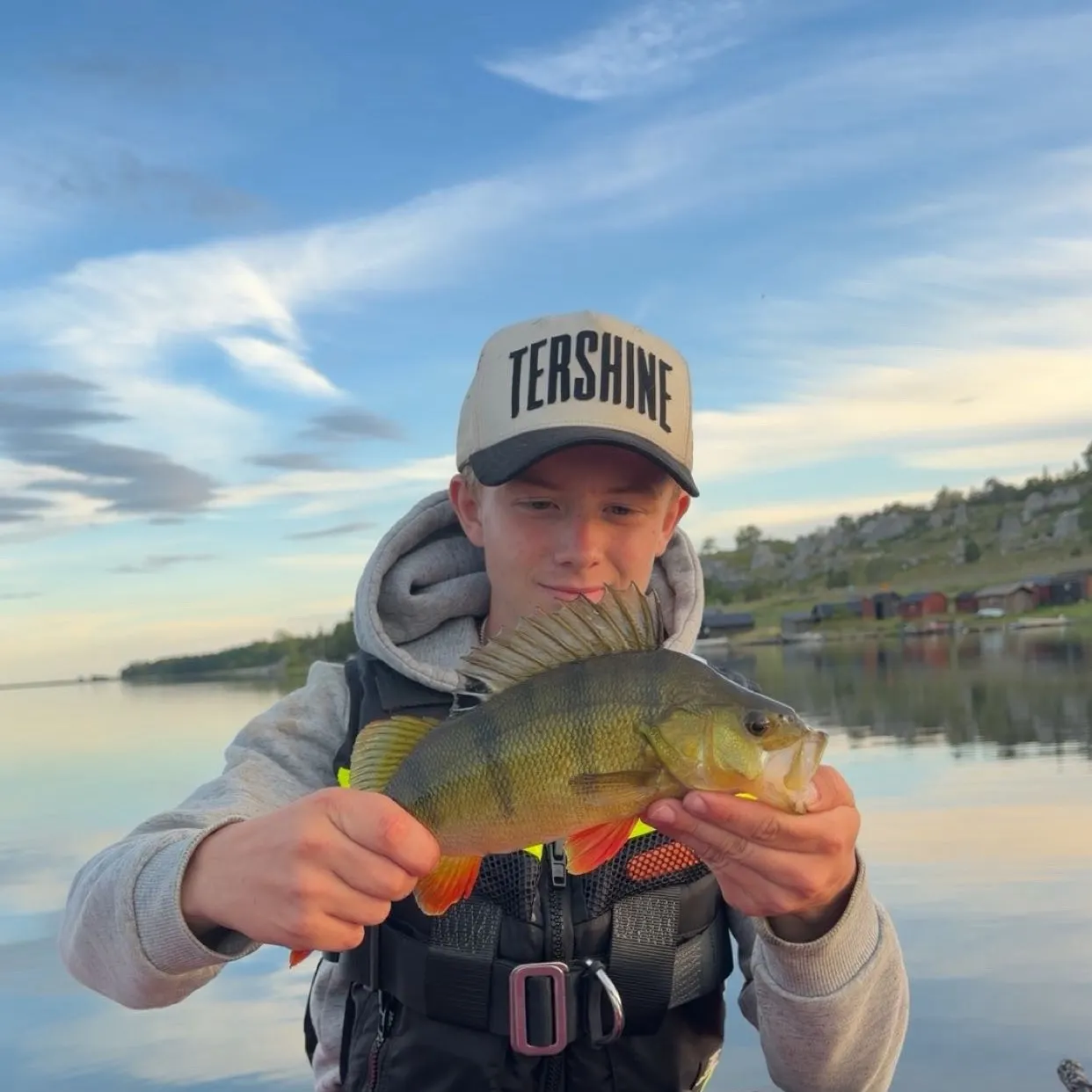 European perch caught on Fishbrain