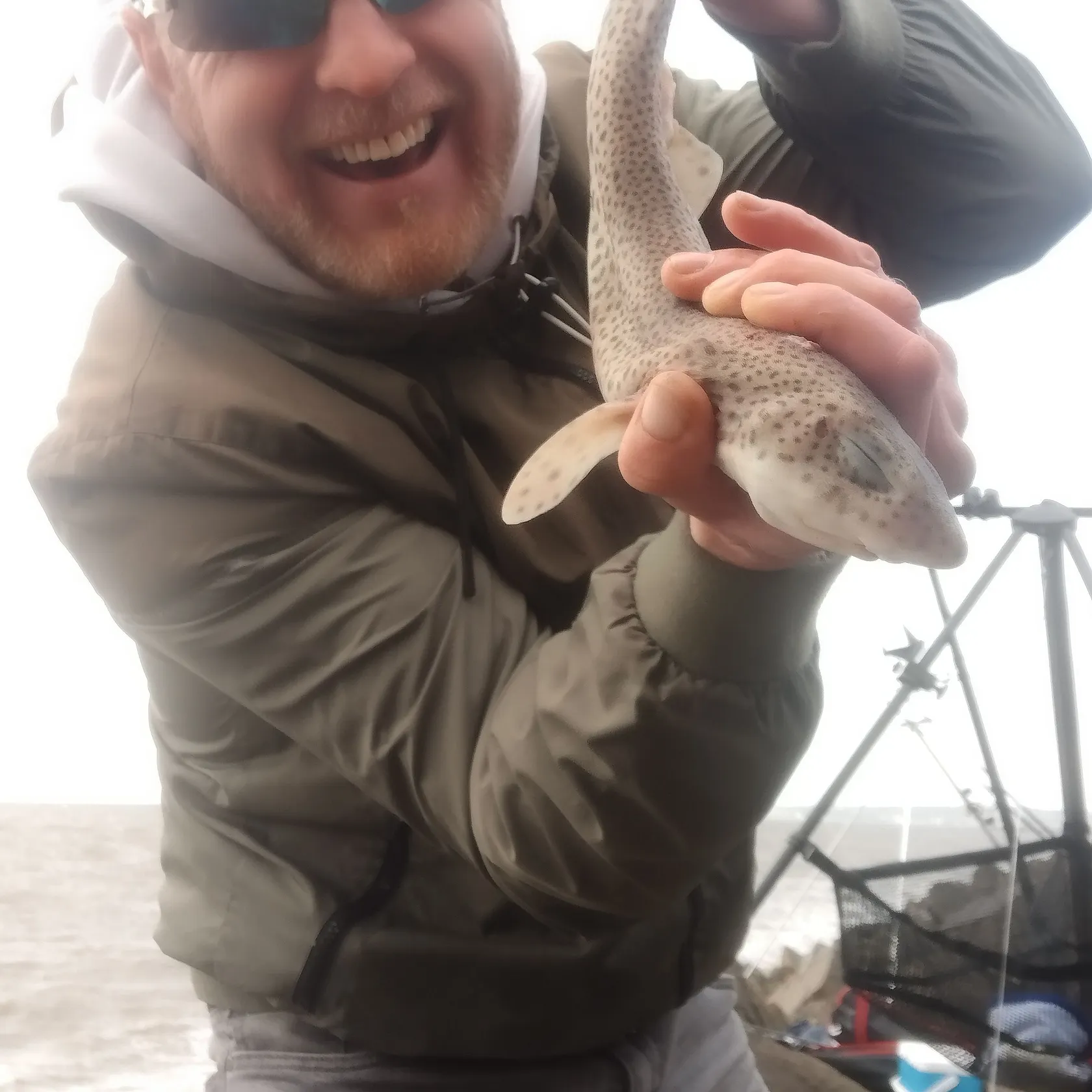 The most recent Lesser spotted dogfish catches on Fishbrain