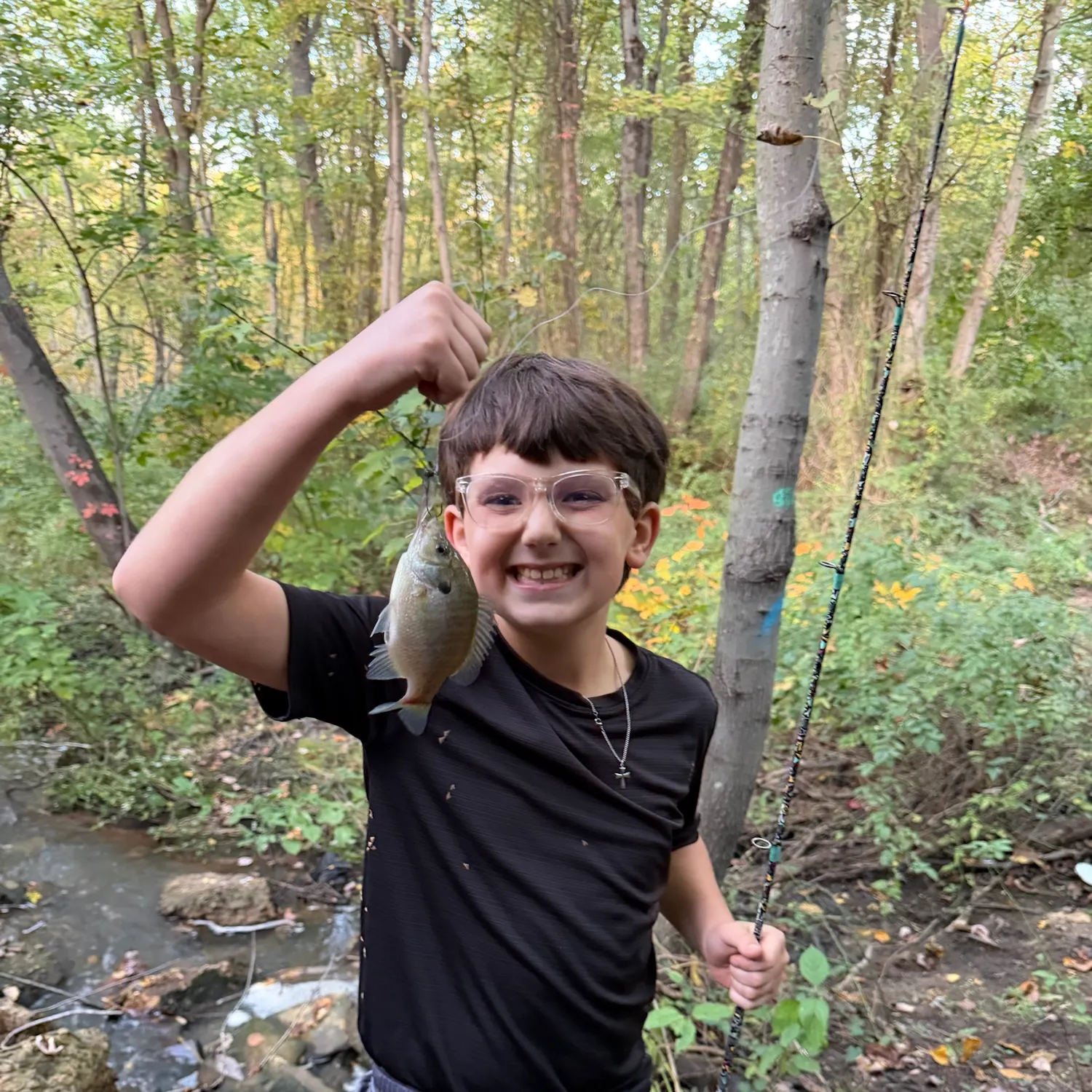 Bluegill caught on Fishbrain