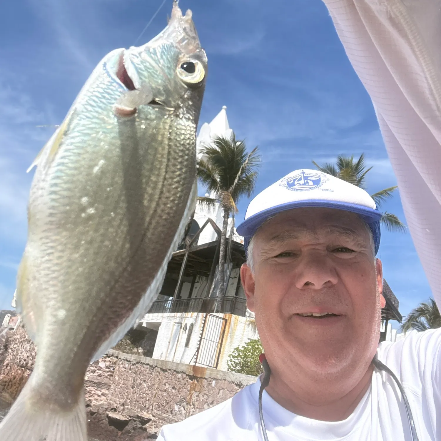 The most recent Redbreast tilapia catches on Fishbrain