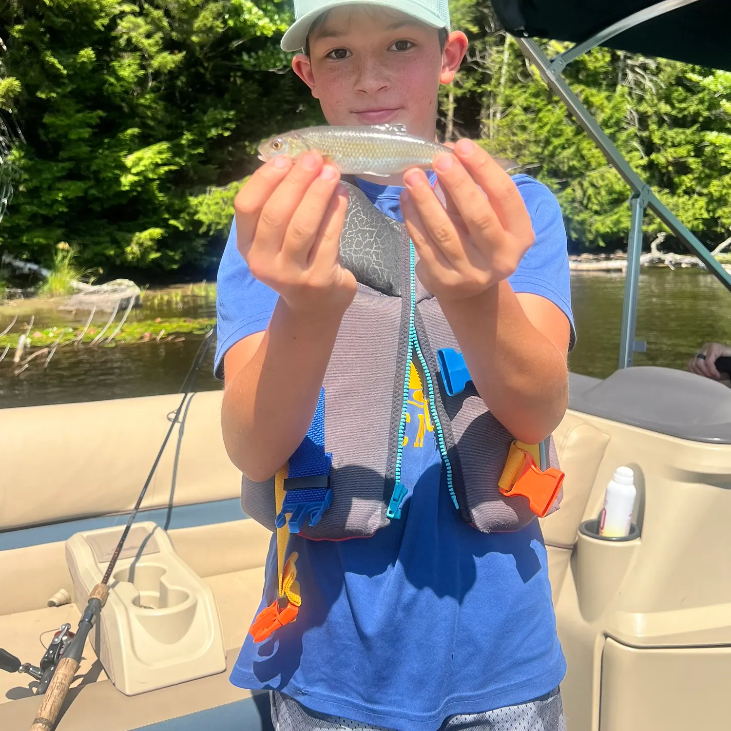 Bluehead chub caught on Fishbrain