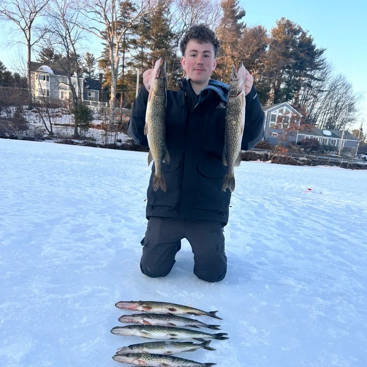 recently logged catches