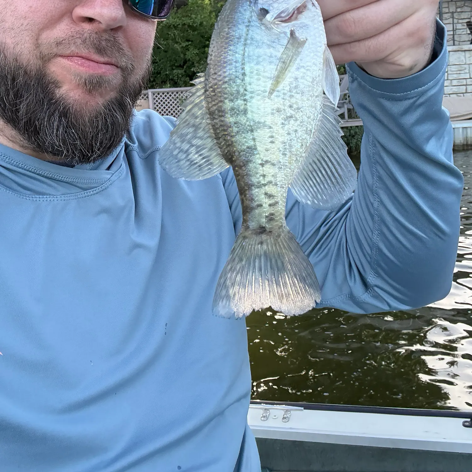 White crappie caught on Fishbrain