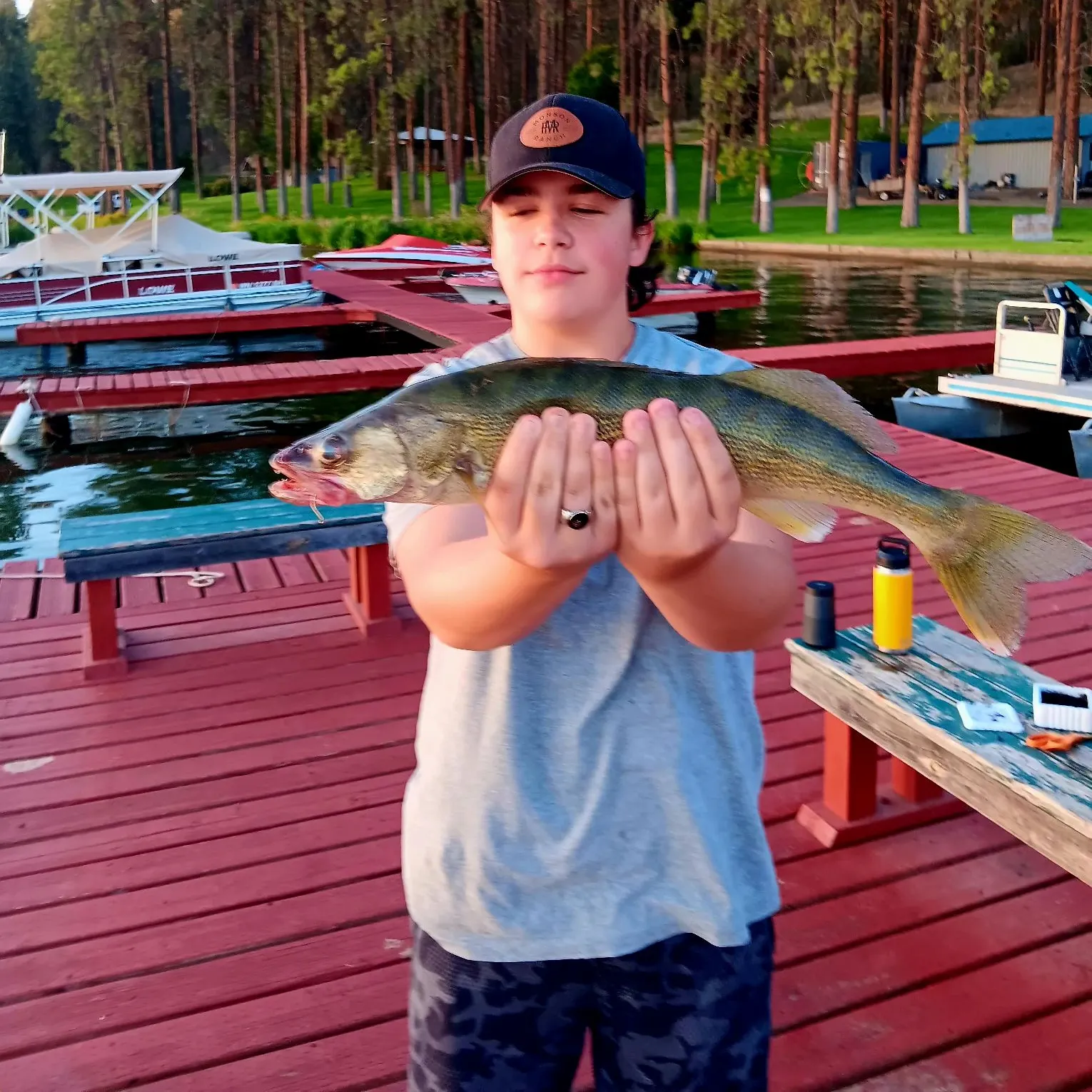 The most recent Walleye catches on Fishbrain