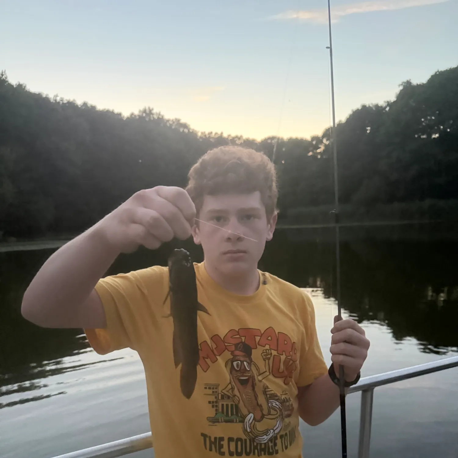 Yellow bullhead caught on Fishbrain