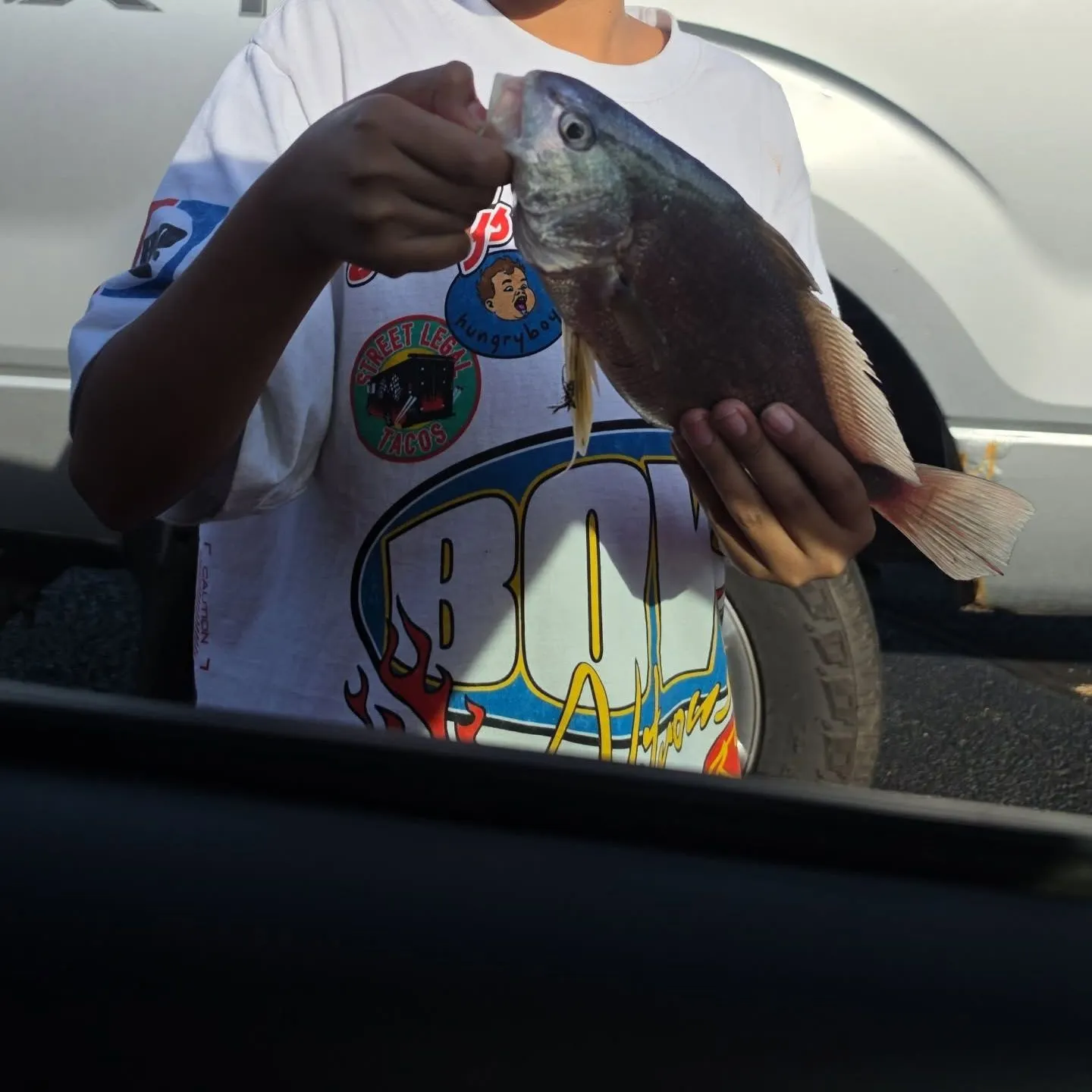 Freshwater drum caught on Fishbrain