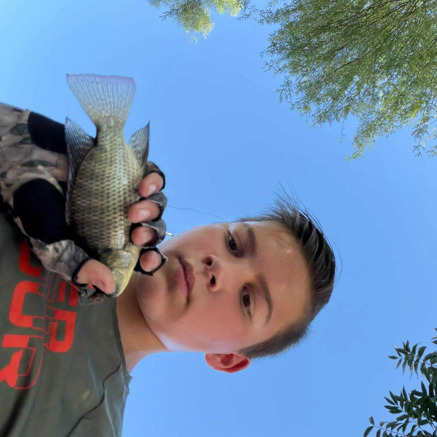 Nile tilapia caught on Fishbrain