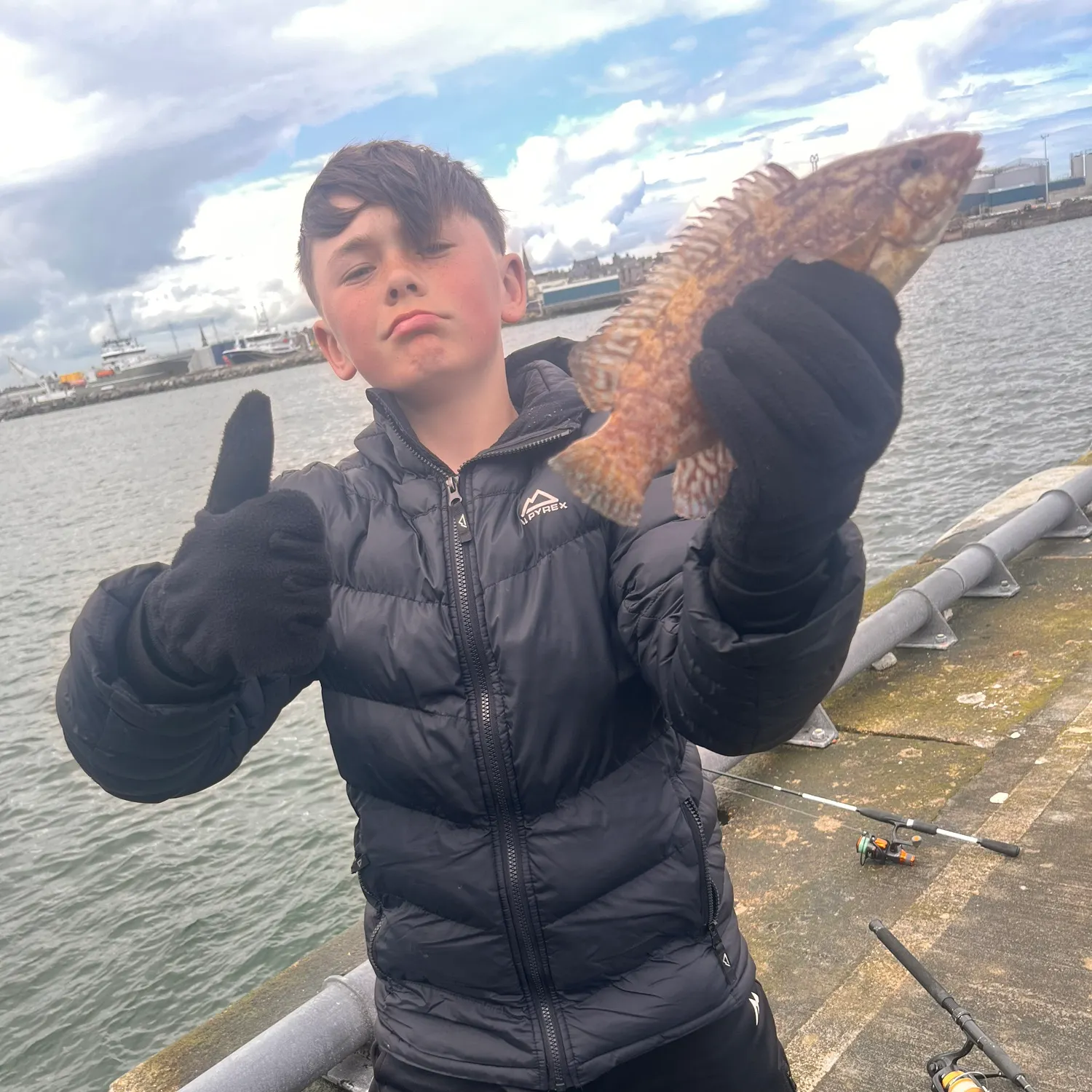 The most recent Corkwing wrasse catches on Fishbrain
