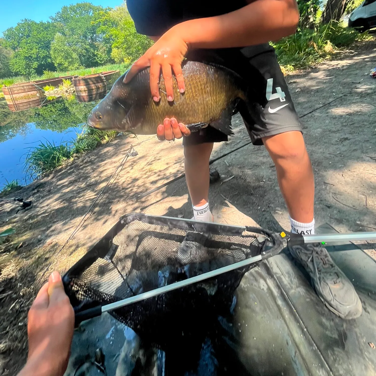 Common bream caught on Fishbrain