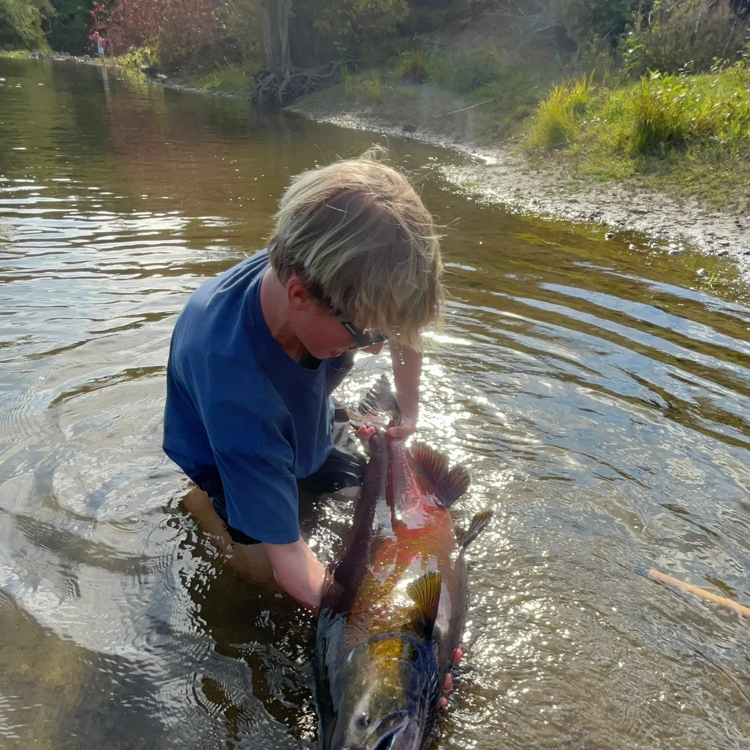 Chinook salmon caught on Fishbrain