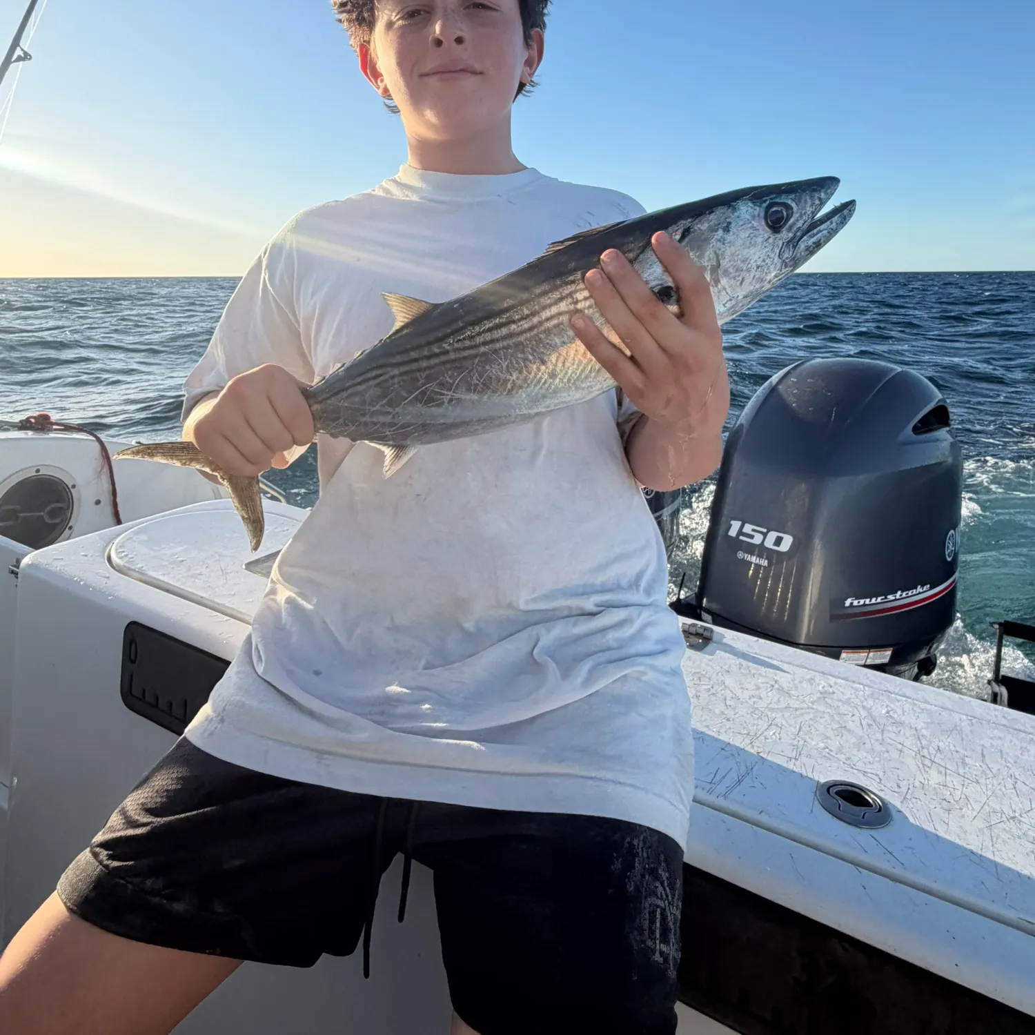 The most recent Black escolar catches on Fishbrain