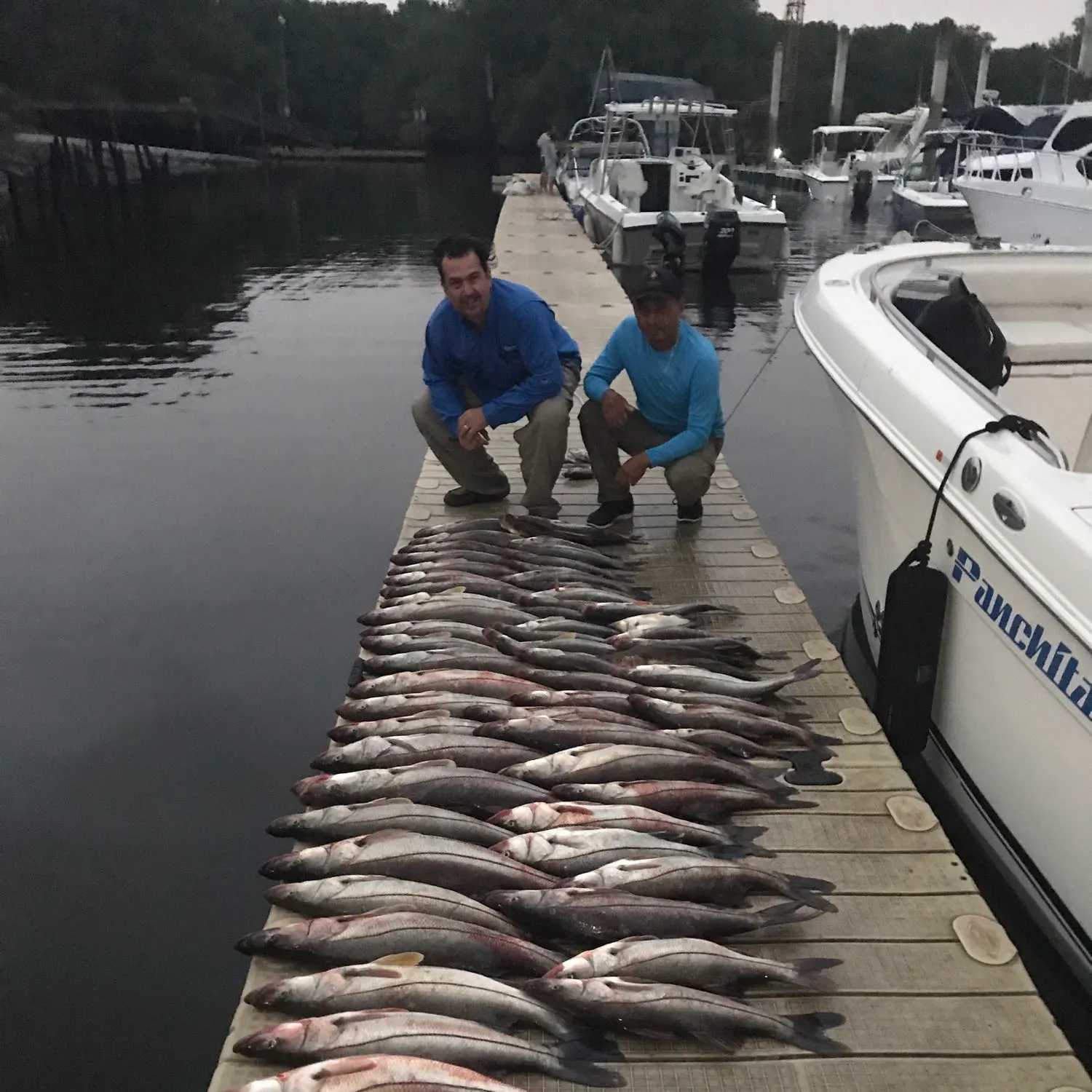 recently logged catches