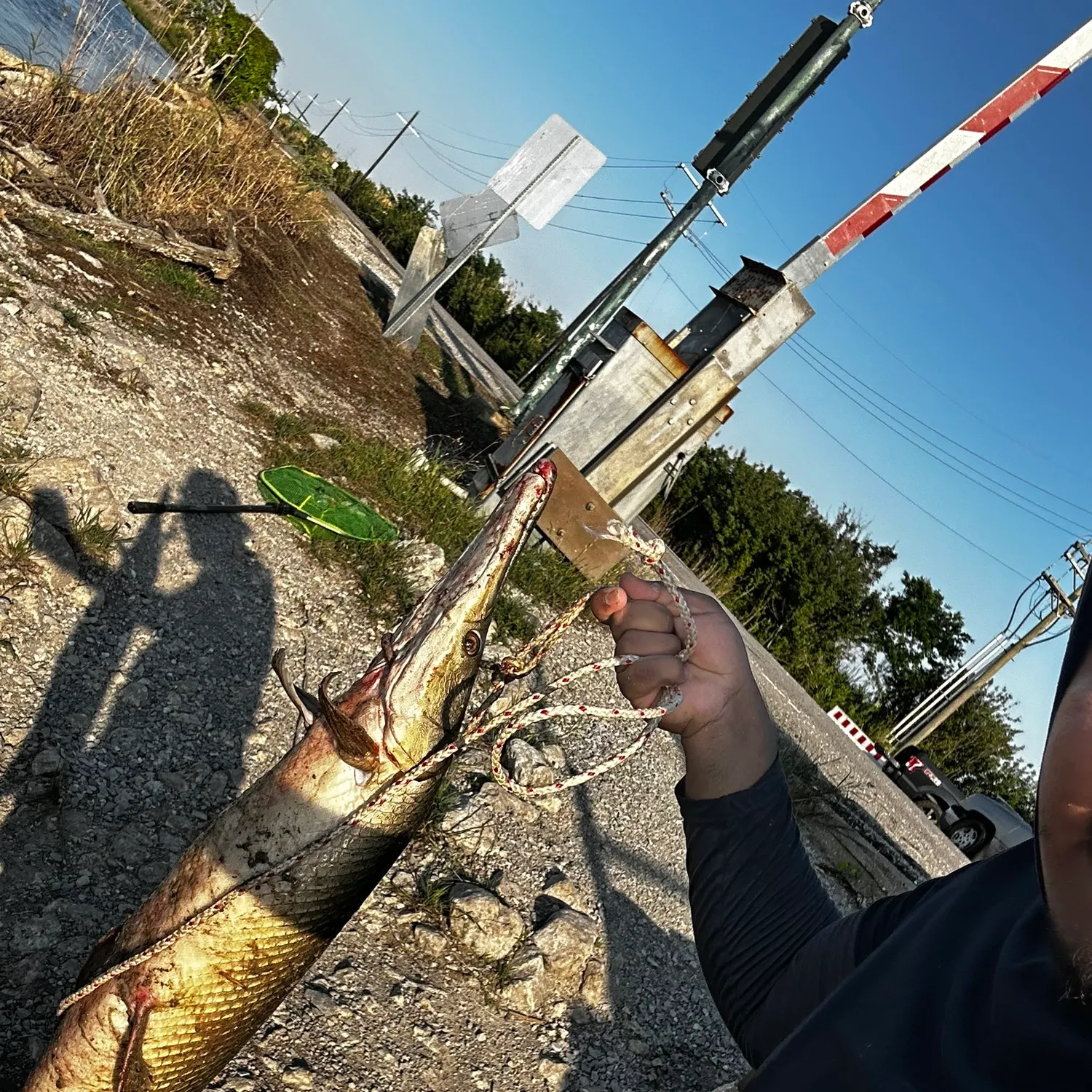 catch