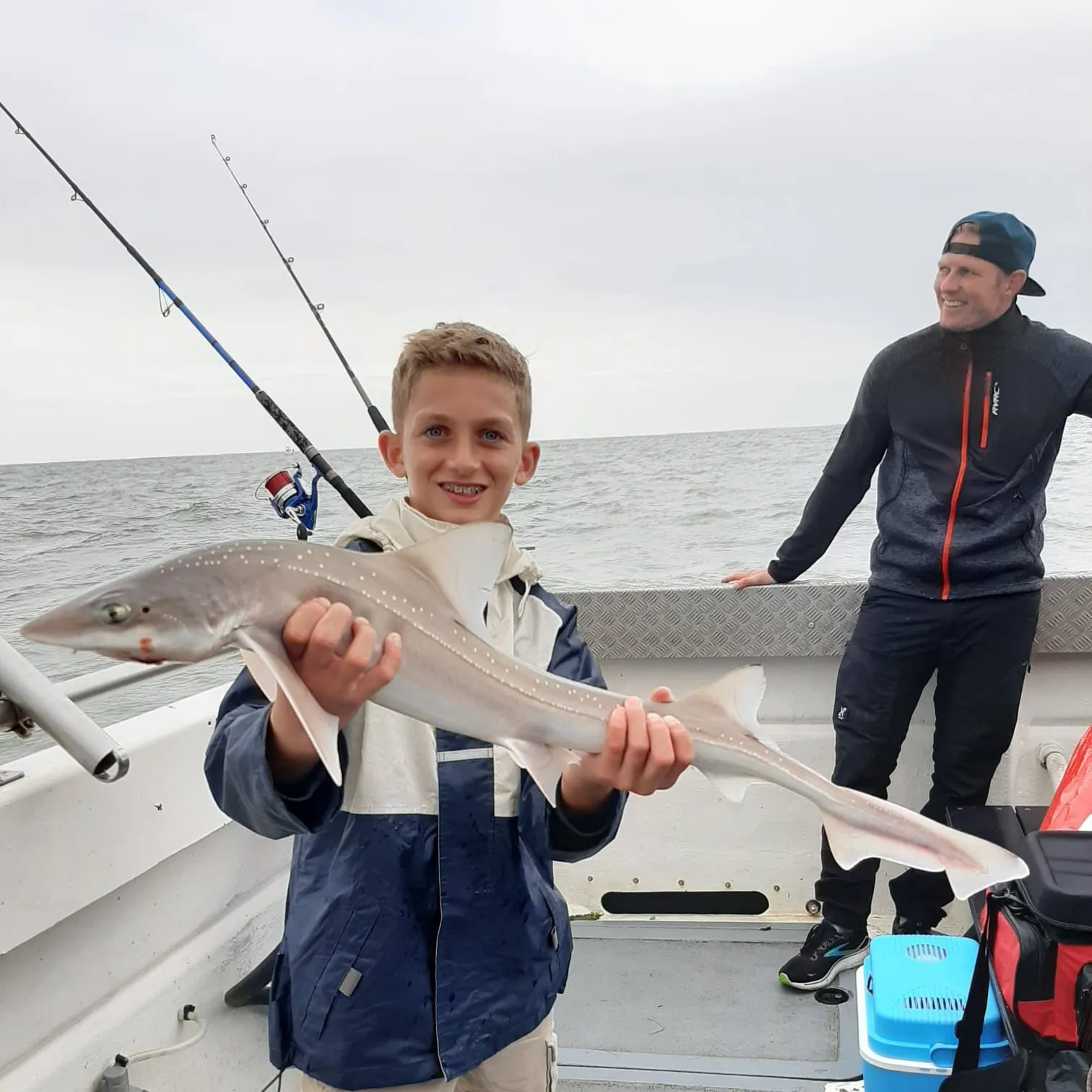 The most recent Gummy shark catches on Fishbrain