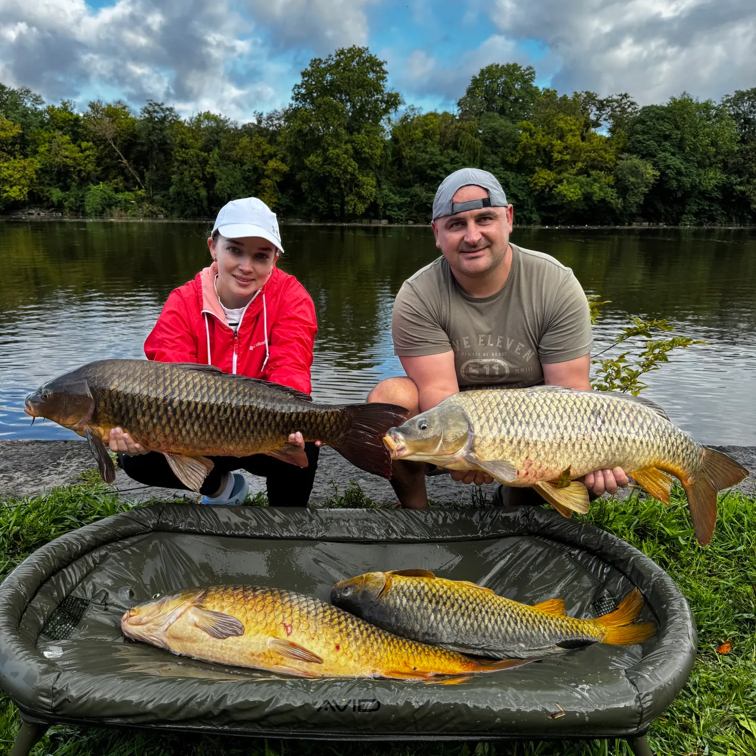 Common carp caught on Fishbrain