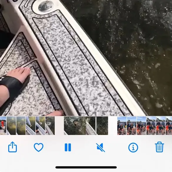 recently logged catches