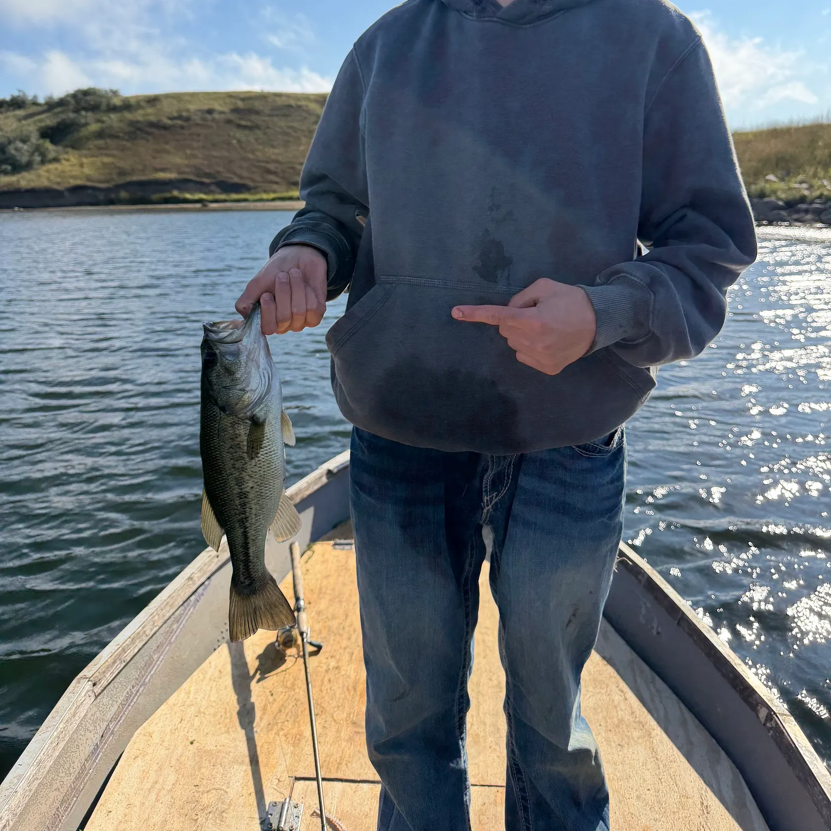 Largemouth bass caught on Fishbrain