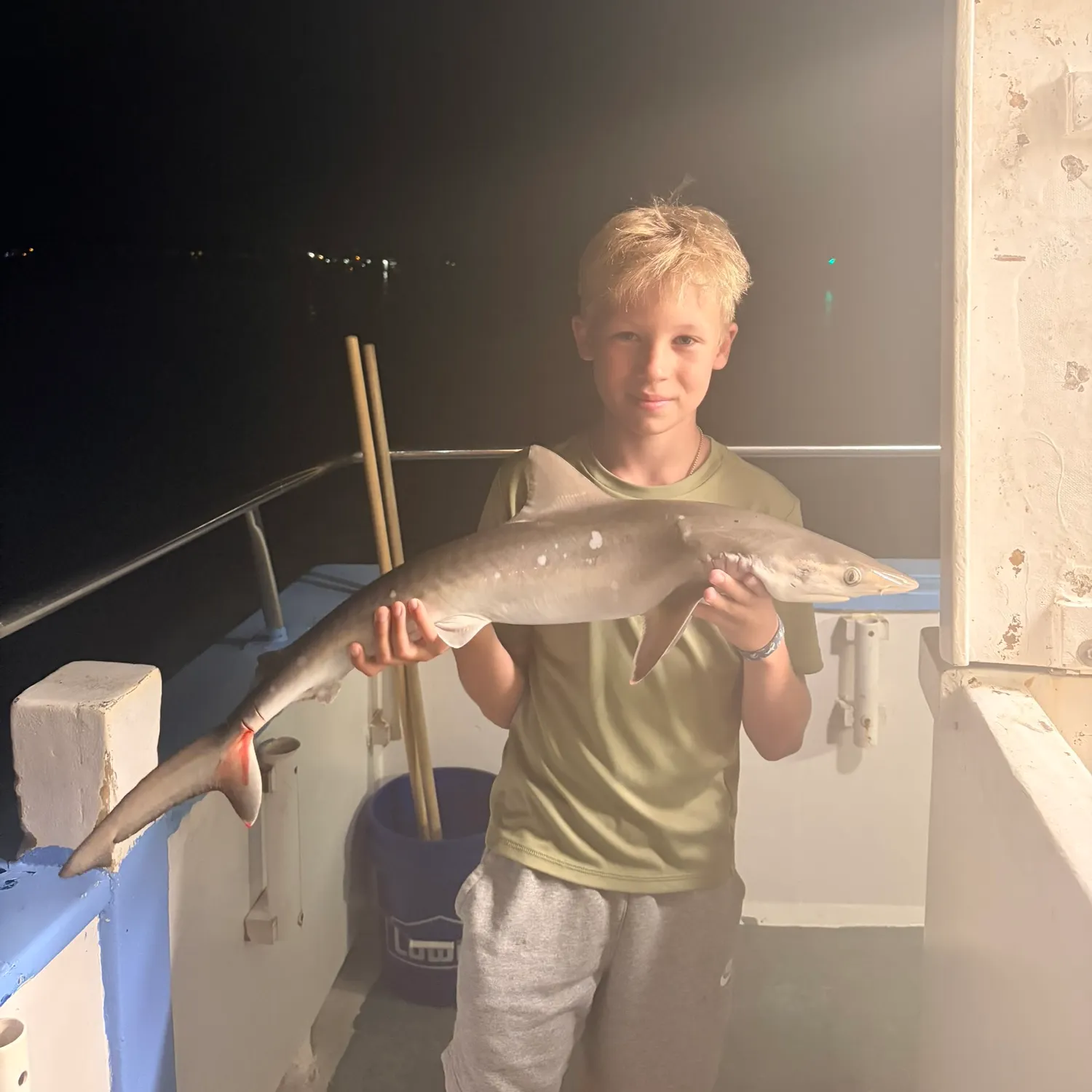 Atlantic sharpnose shark caught on Fishbrain