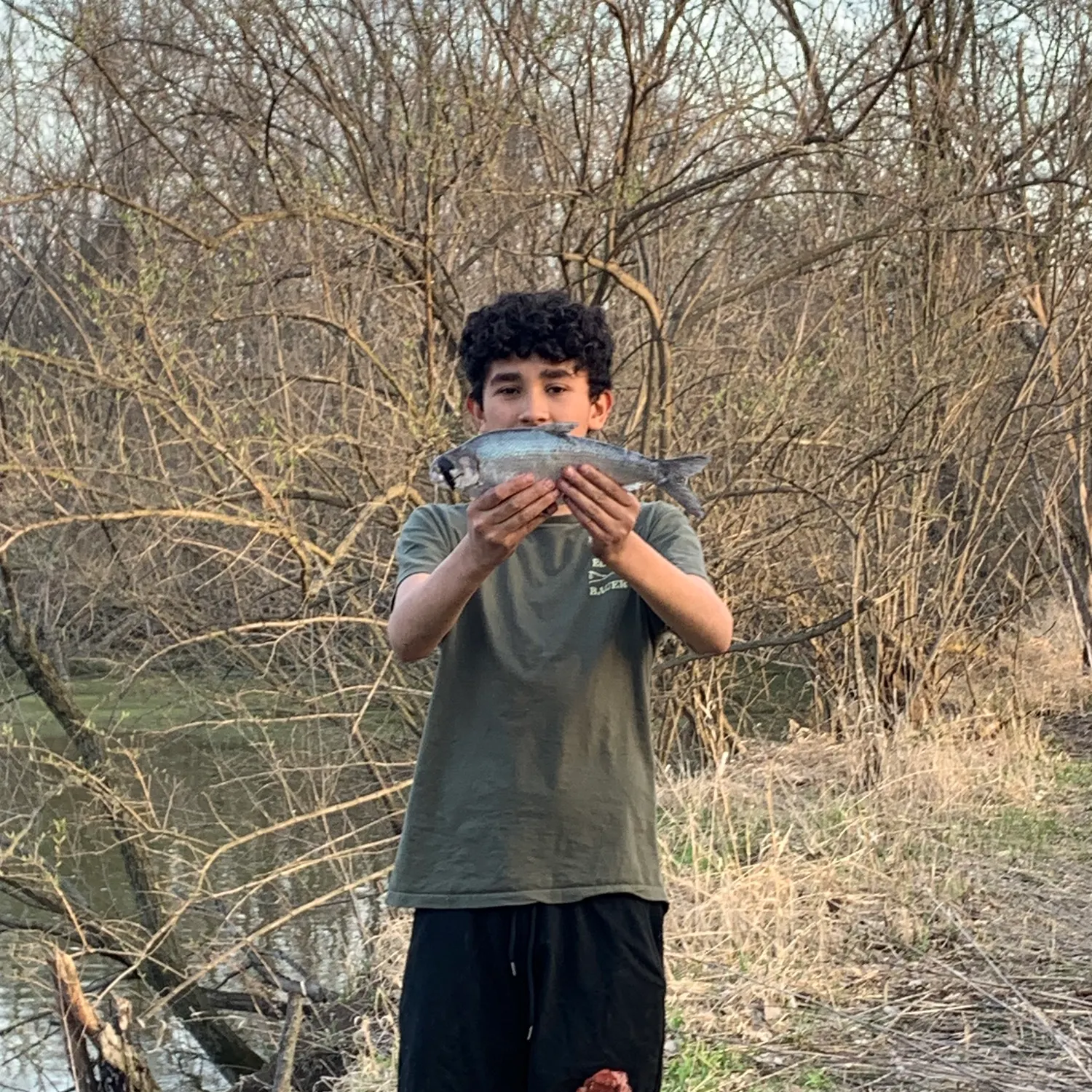 The most recent Great white shark catches on Fishbrain