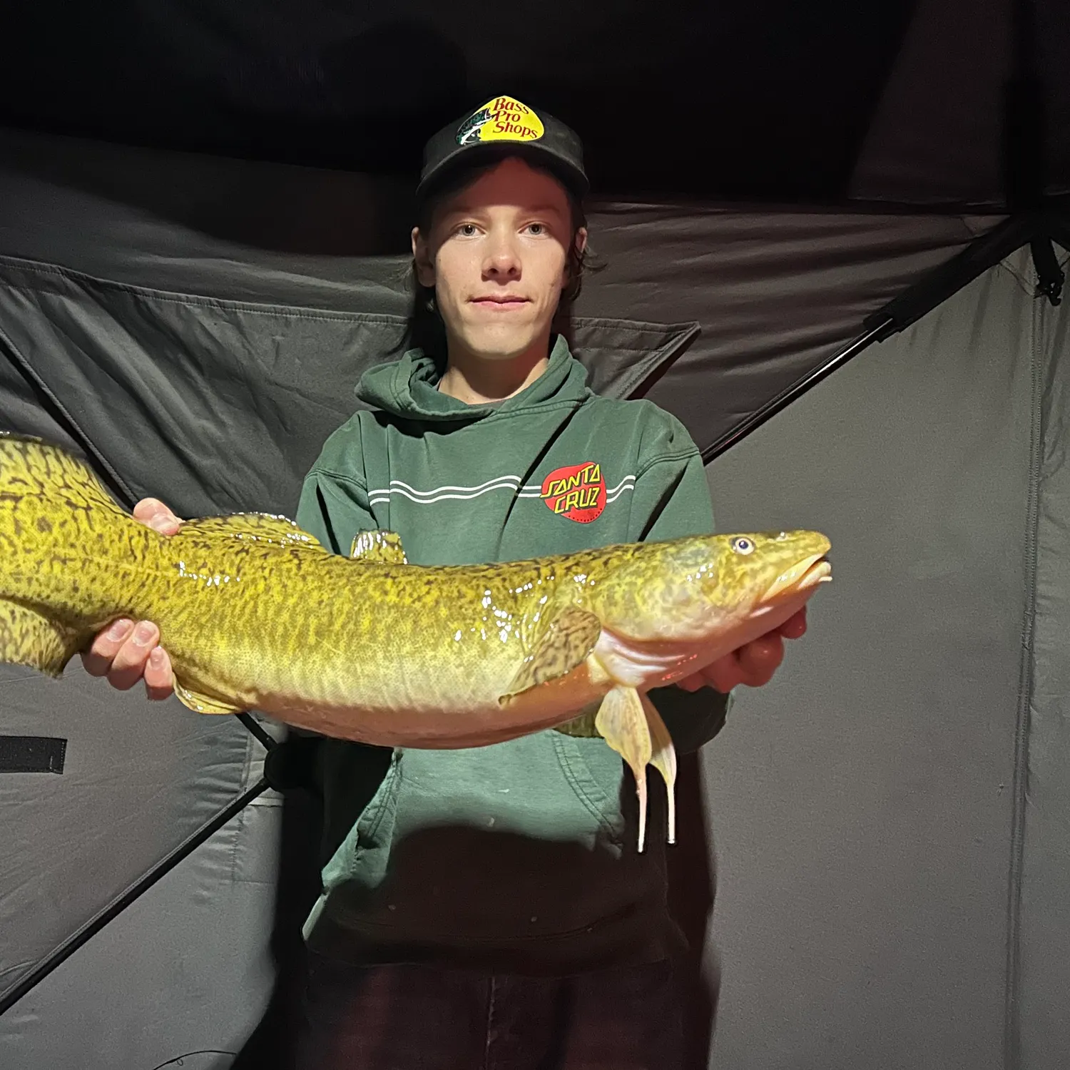 The most recent Burbot catches on Fishbrain