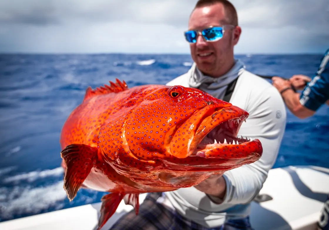 Leopard coralgrouper