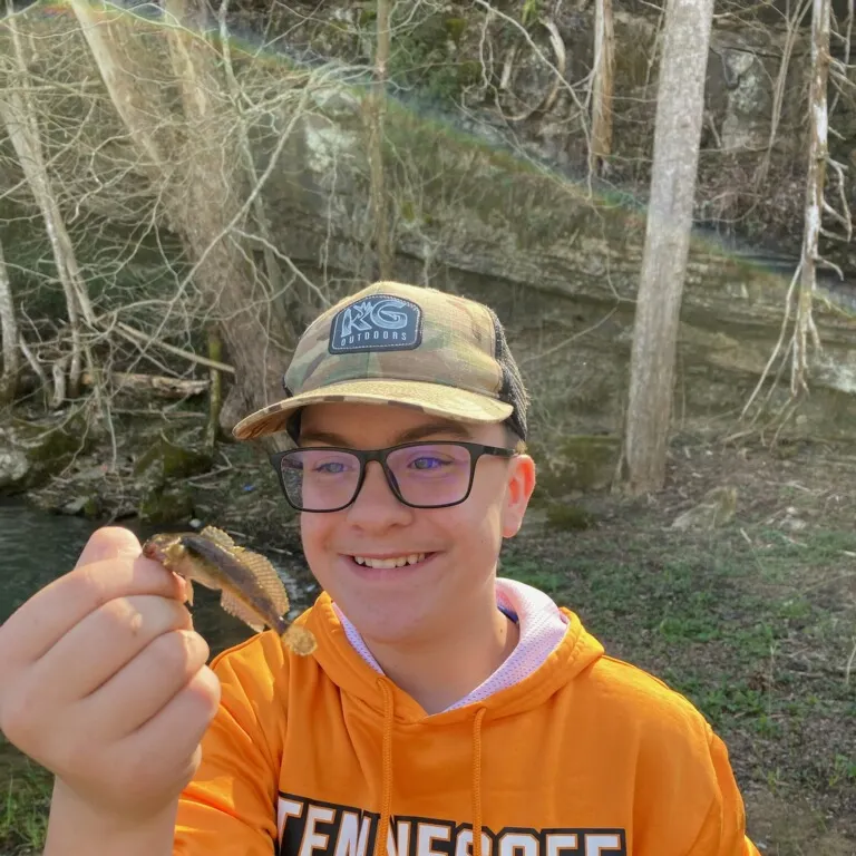 most liked catch image
