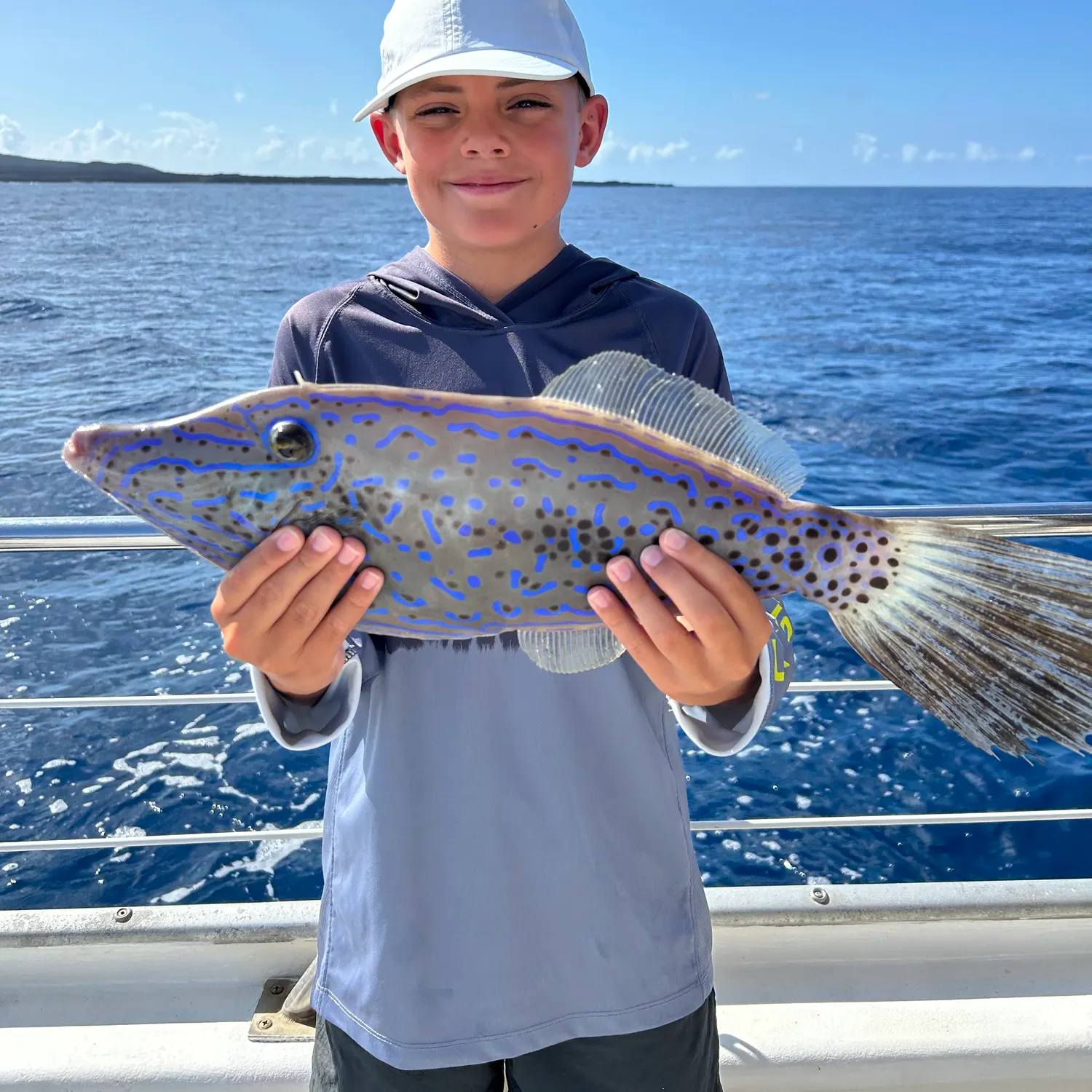 The most recent Broomtail grouper catches on Fishbrain