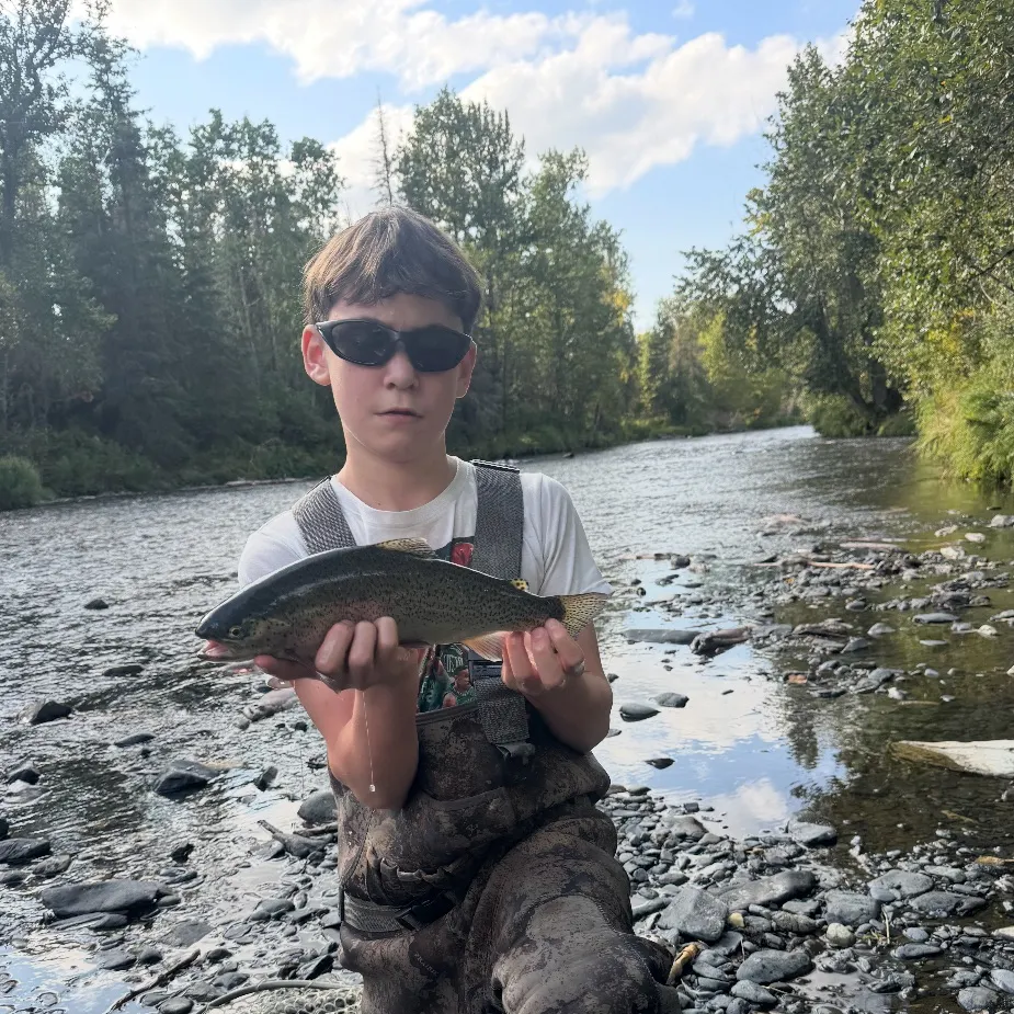 Rainbow trout caught on Fishbrain
