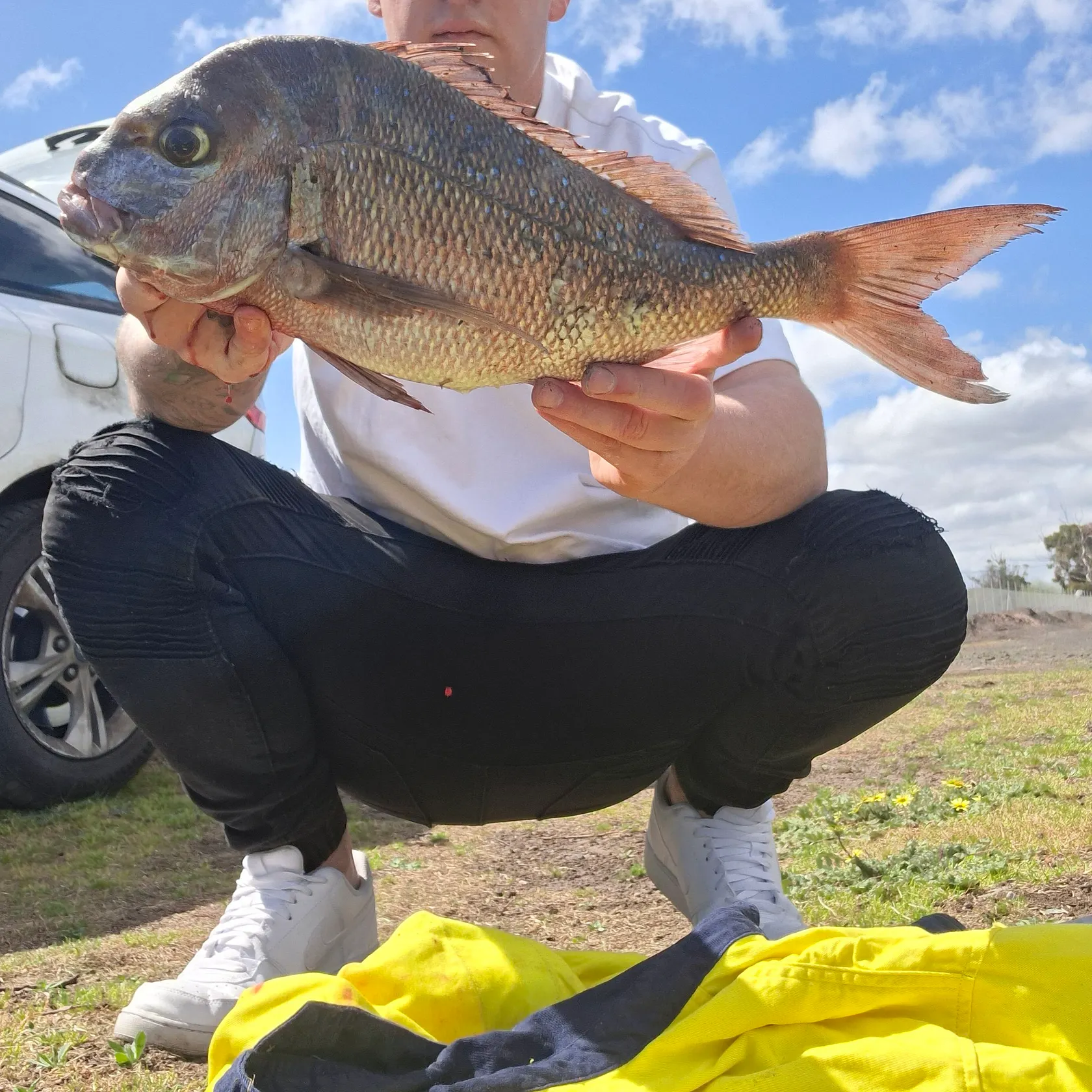 Australasian snapper caught on Fishbrain