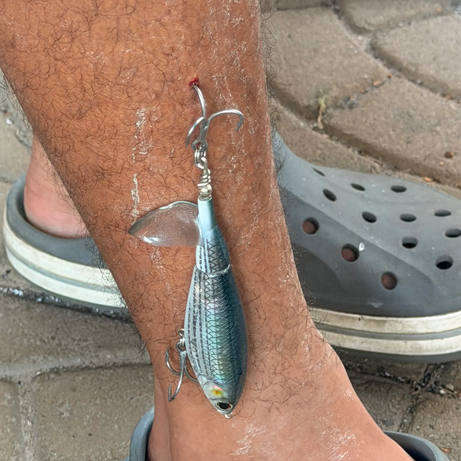 The most recent Striped mullet catches on Fishbrain