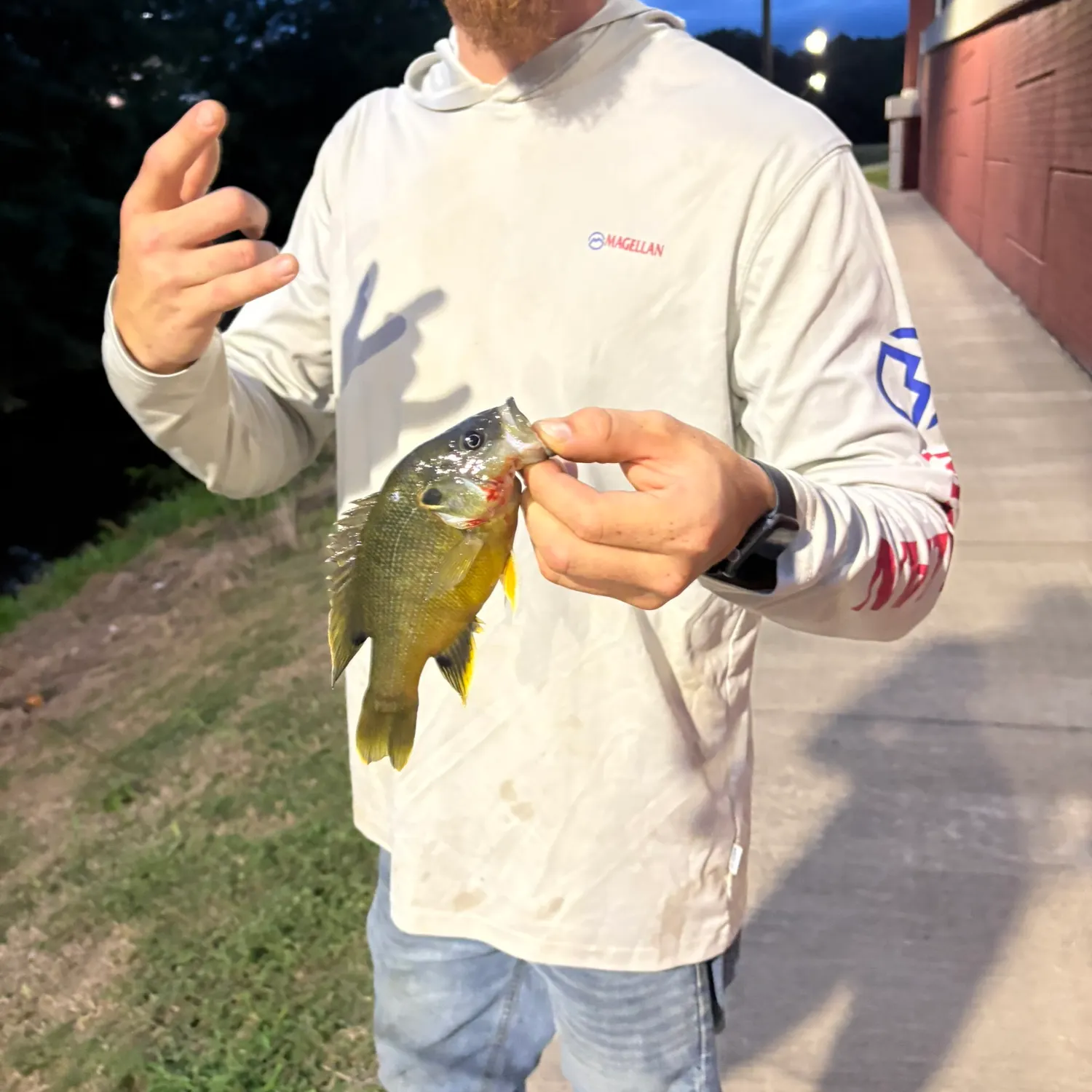 recently logged catches