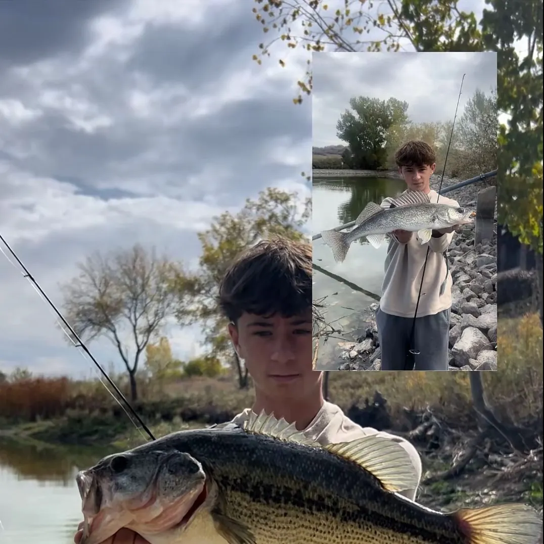 Walleye caught on Fishbrain