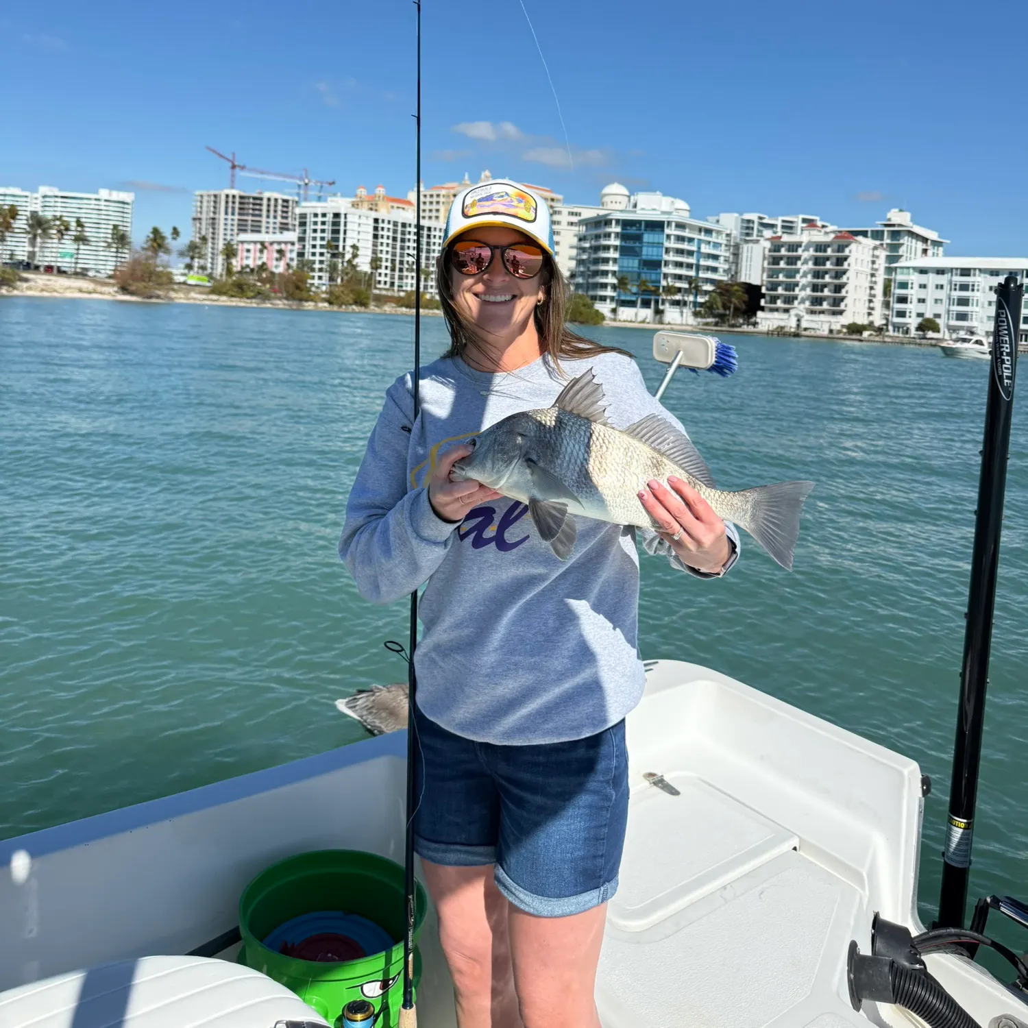 The most recent Black drum catches on Fishbrain
