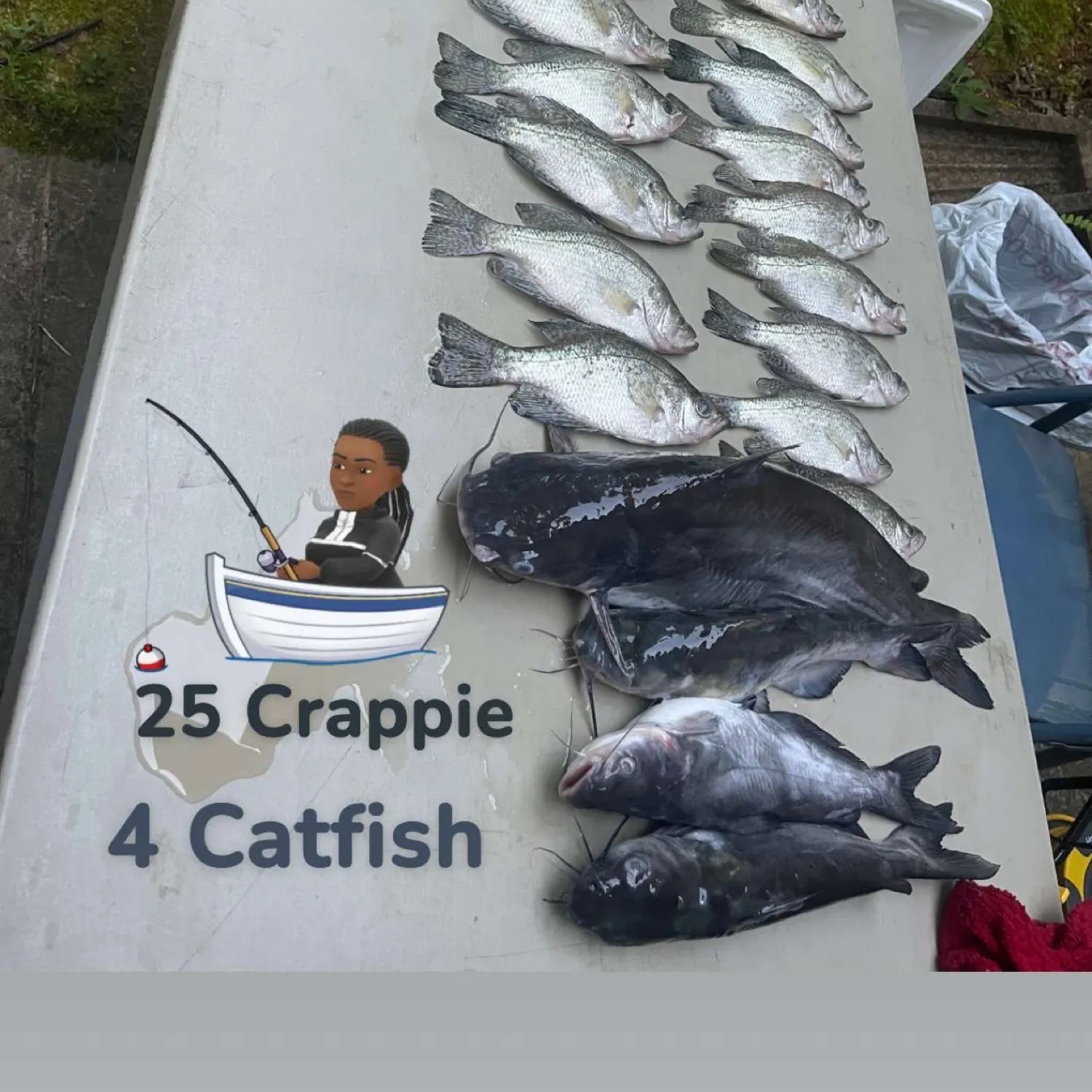 The most recent White crappie catches on Fishbrain