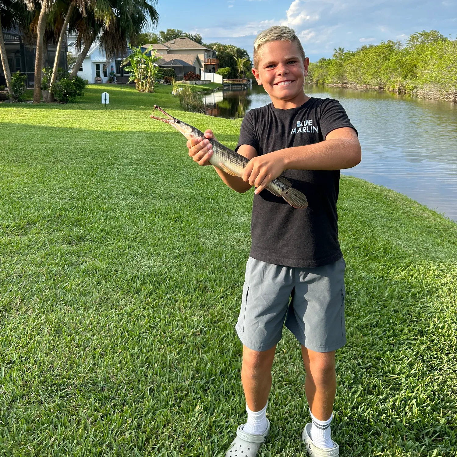 The most recent Spotted gar catches on Fishbrain