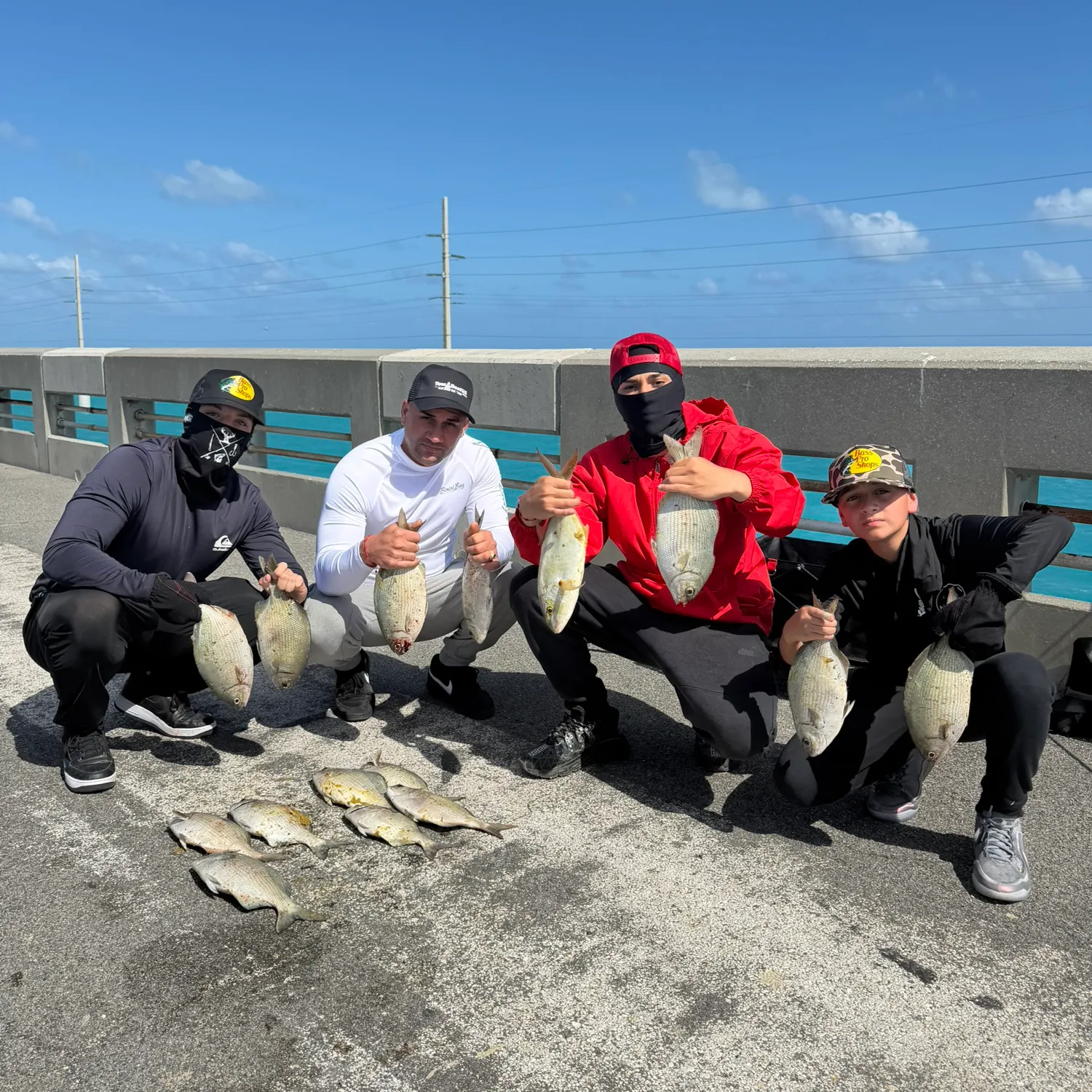 The most recent Bermuda sea chub catches on Fishbrain