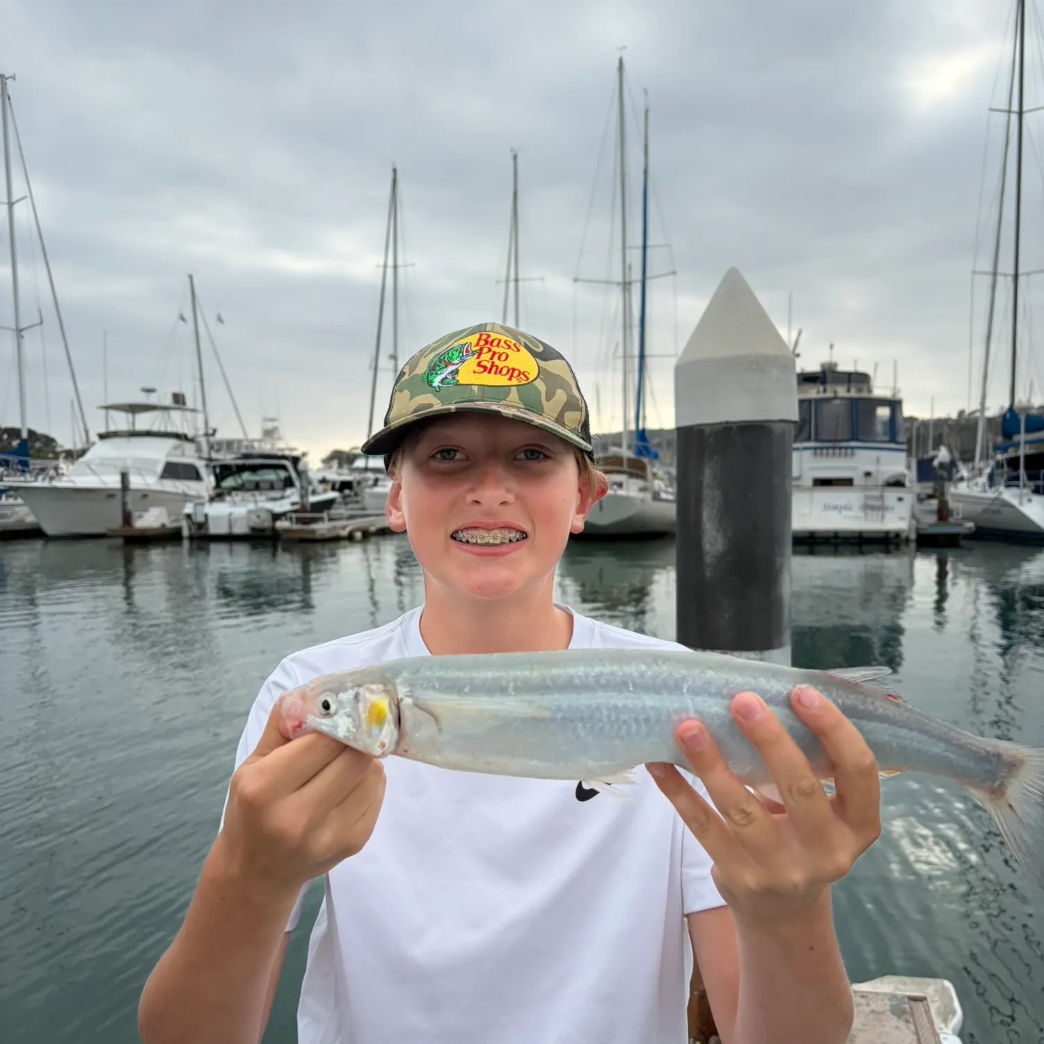 Surf smelt caught on Fishbrain