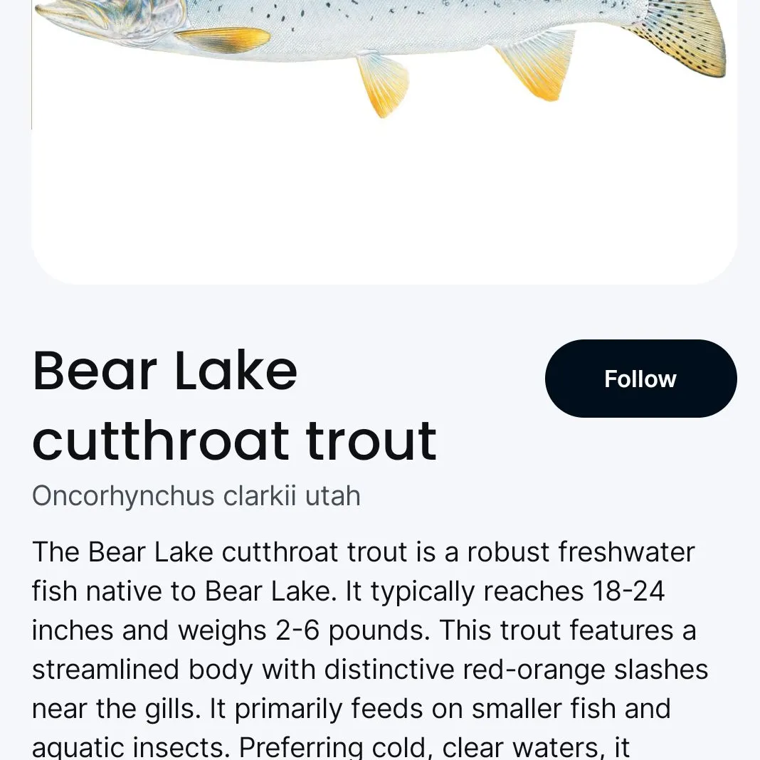 recently logged catches