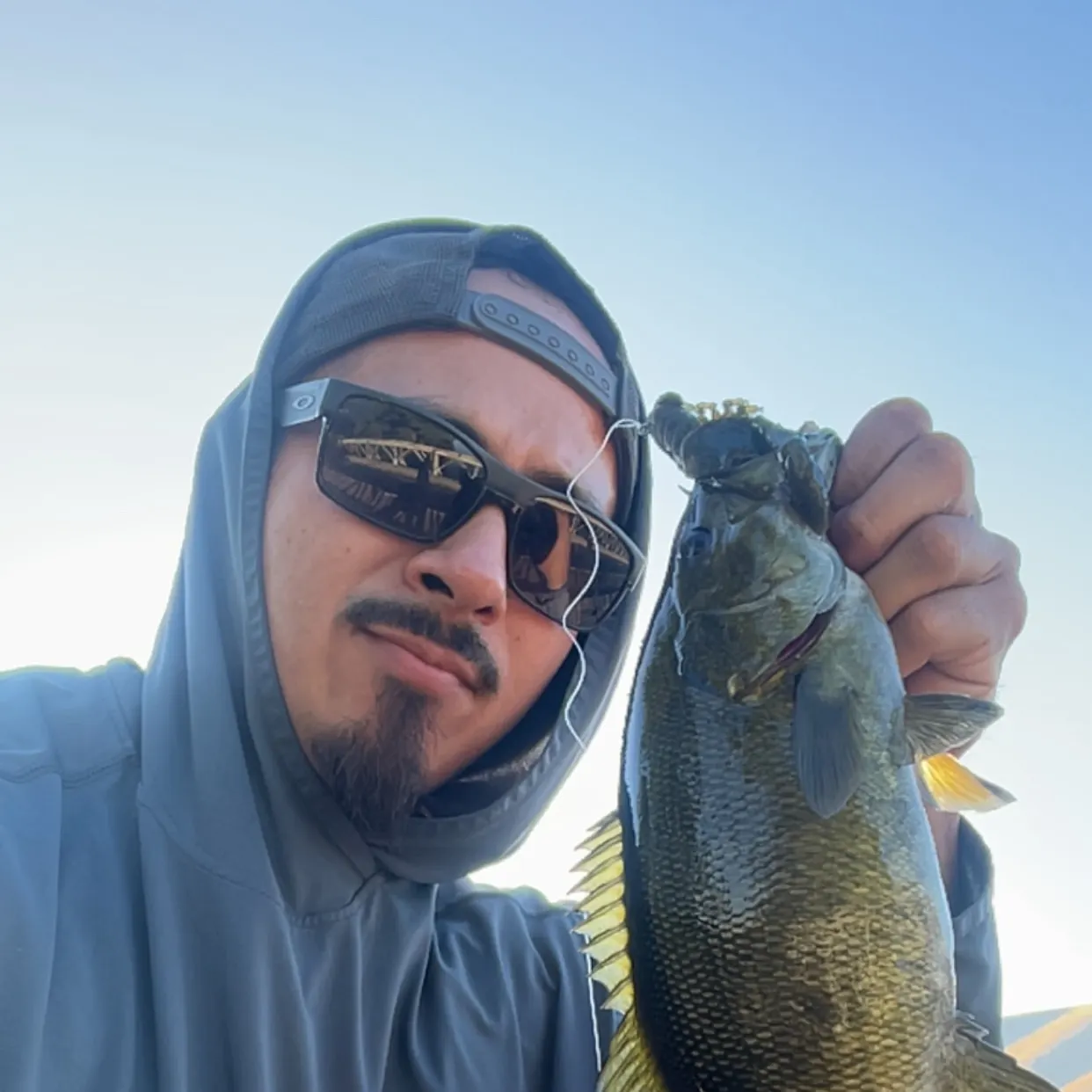 Smallmouth bass caught on Fishbrain