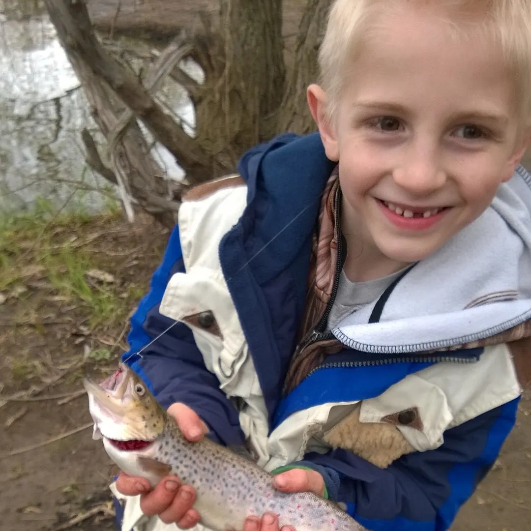 Fishing in Rochester, NY (United States) ️️️️ Find Spots, Species & Tips