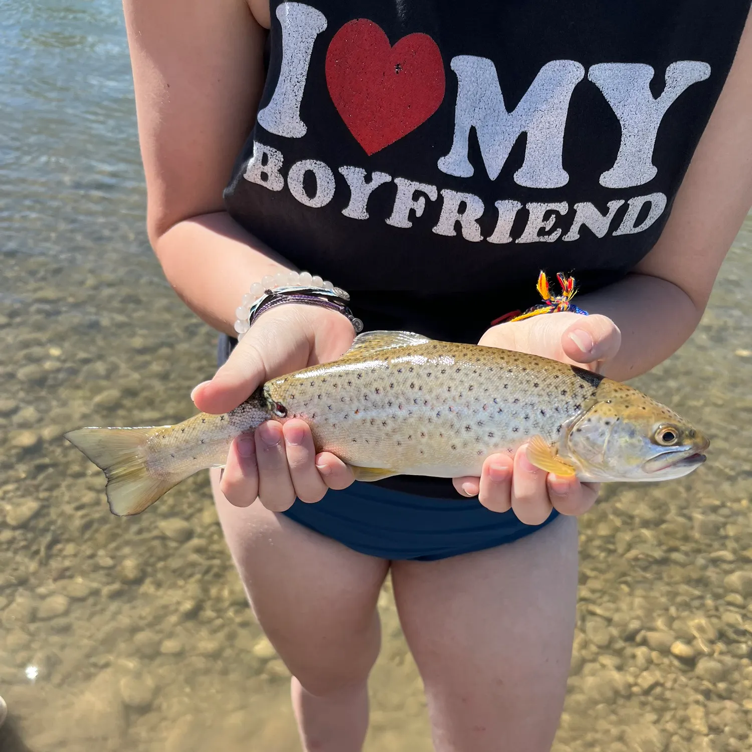 The most recent Sea trout catches on Fishbrain