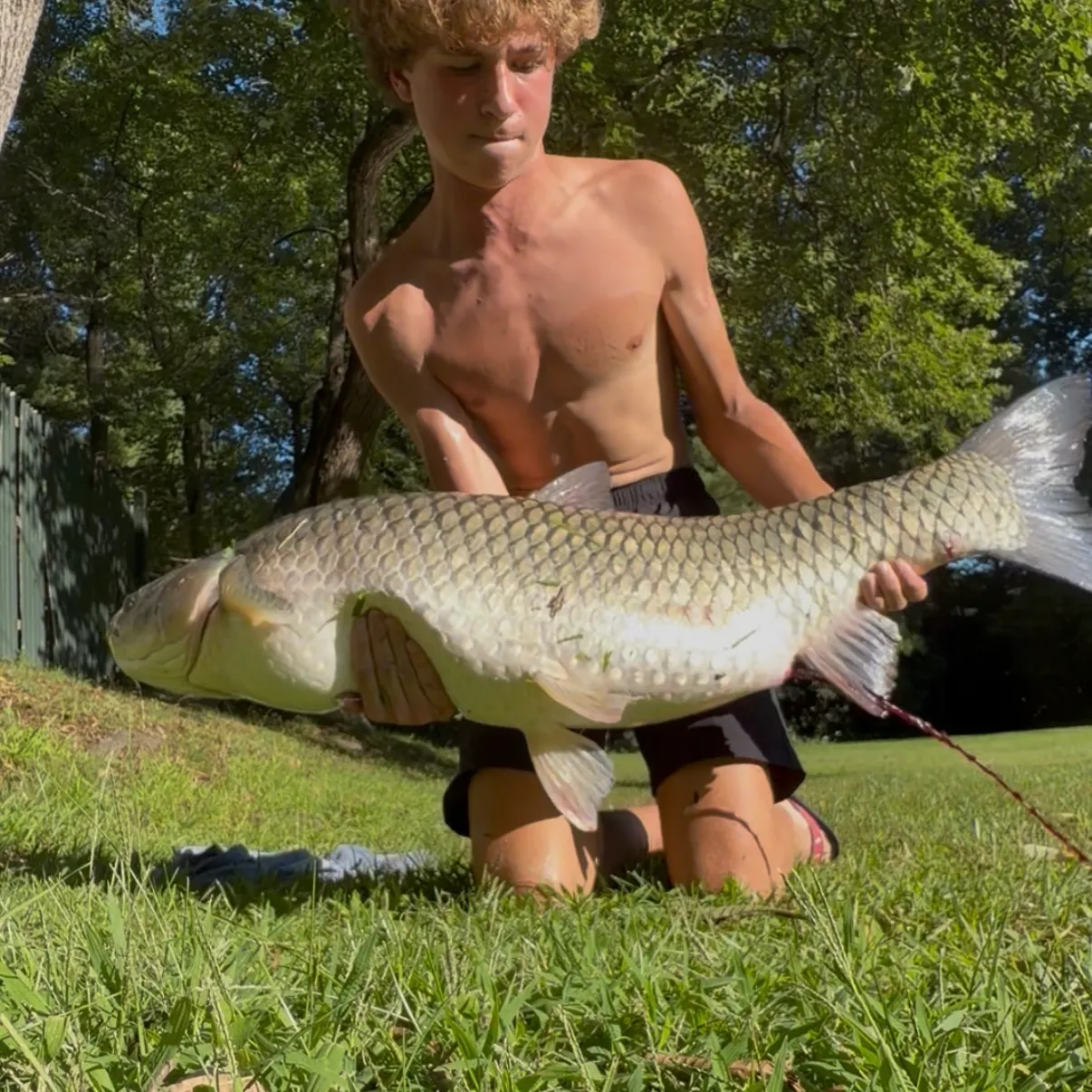 Grass carp caught on Fishbrain