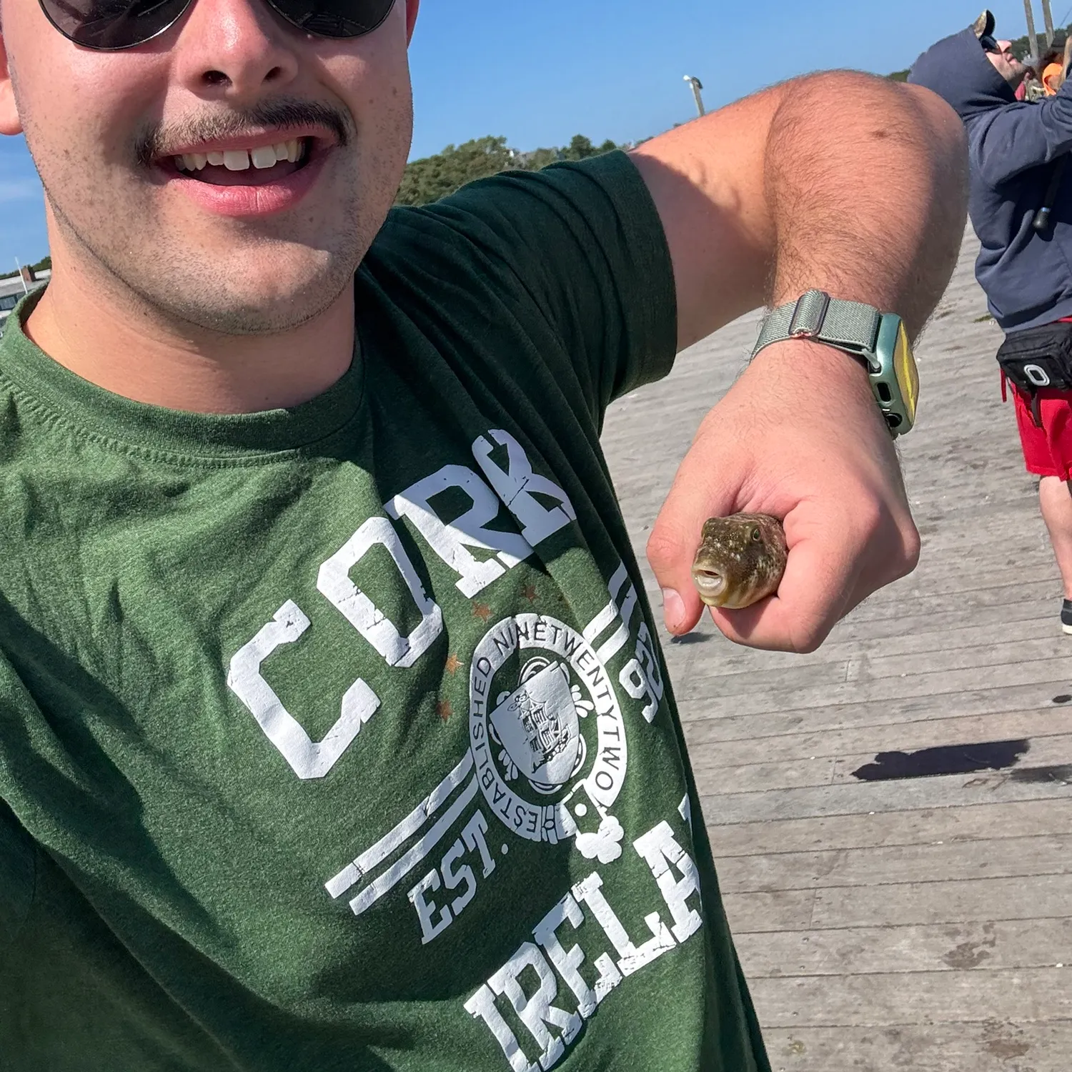 The most recent Northern puffer catches on Fishbrain
