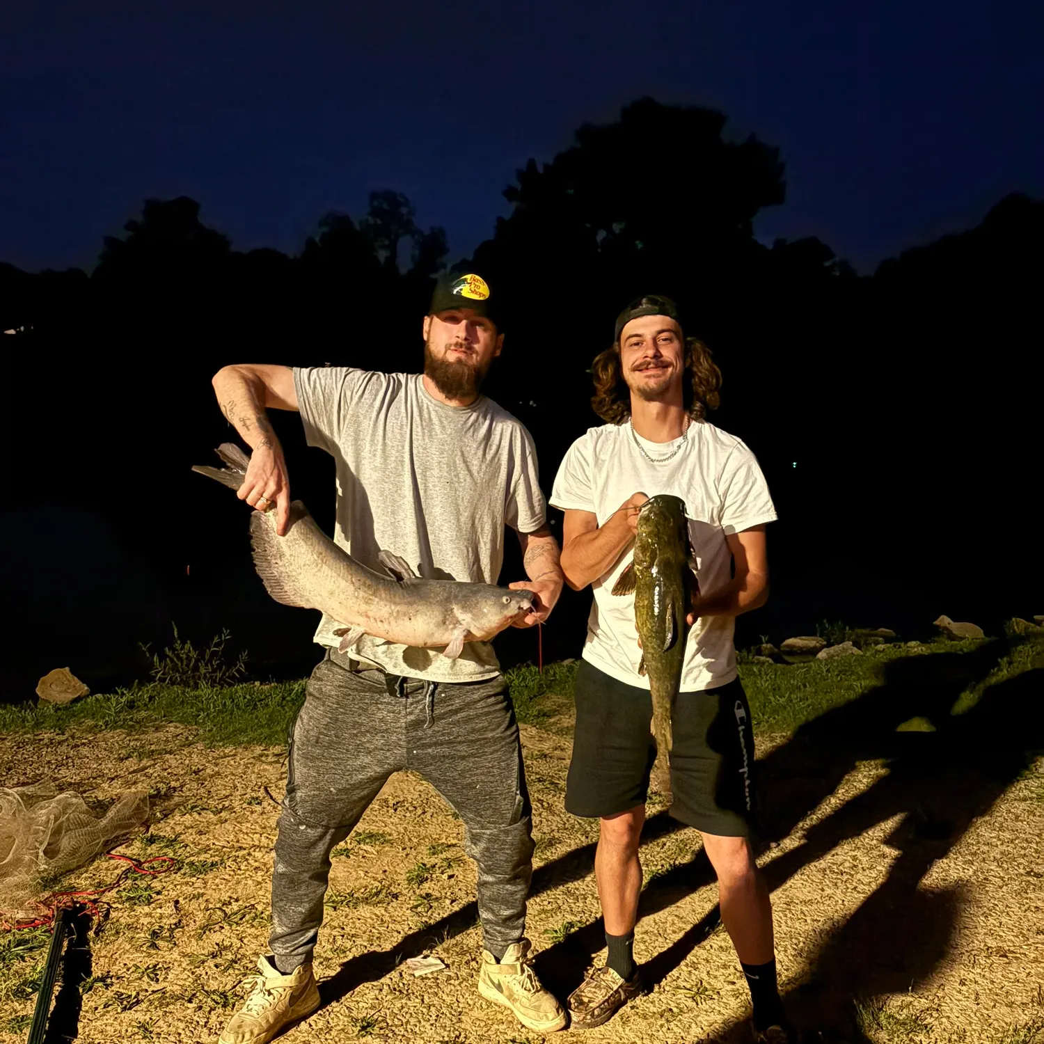Fish caught on Fishbrain