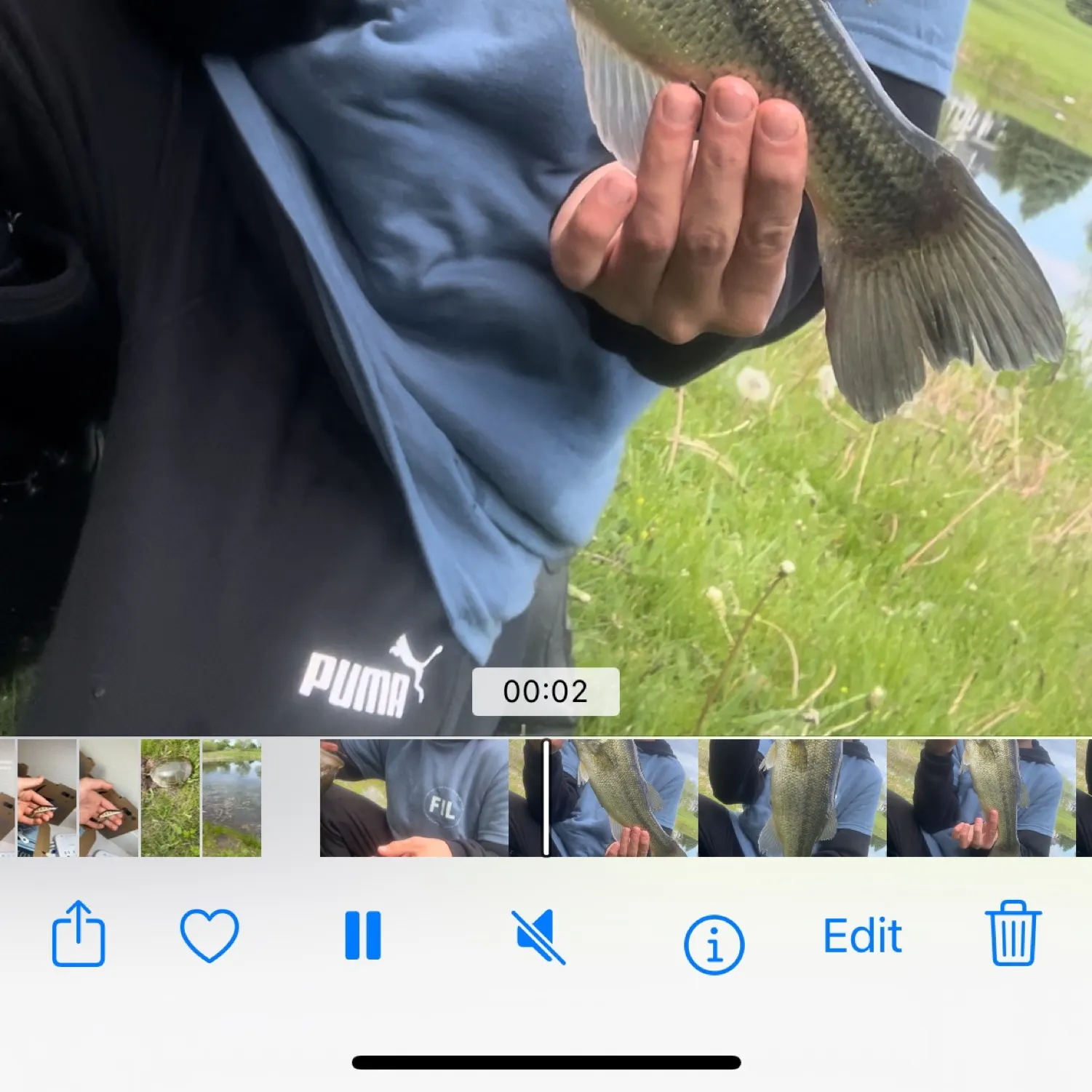 recently logged catches