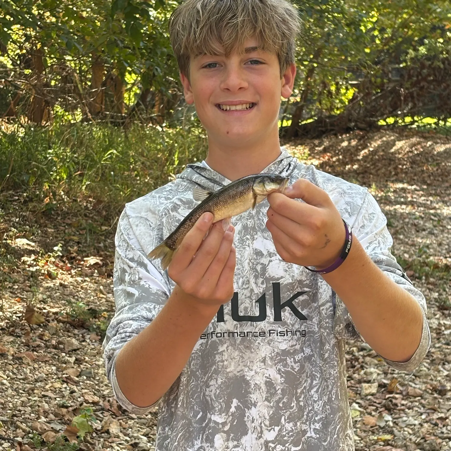 Creek chub caught on Fishbrain