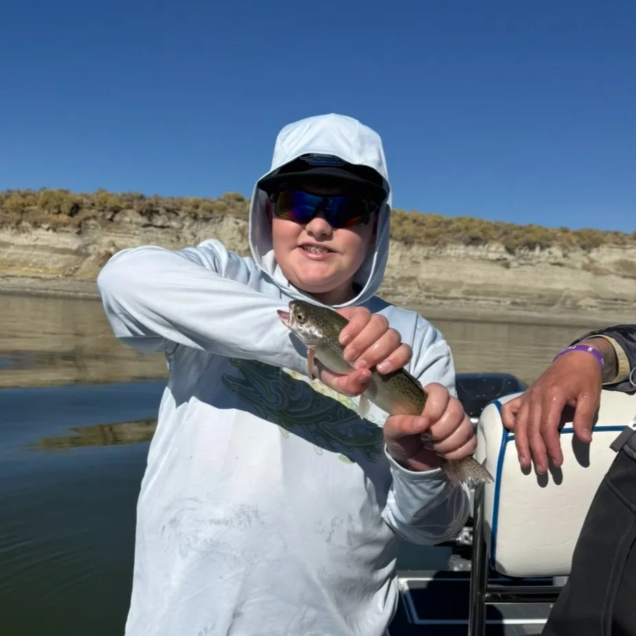 Rainbow trout caught on Fishbrain