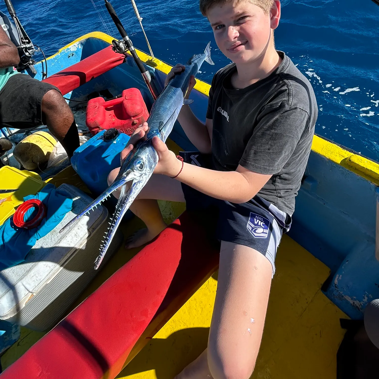 The most recent Atlantic needlefish catches on Fishbrain